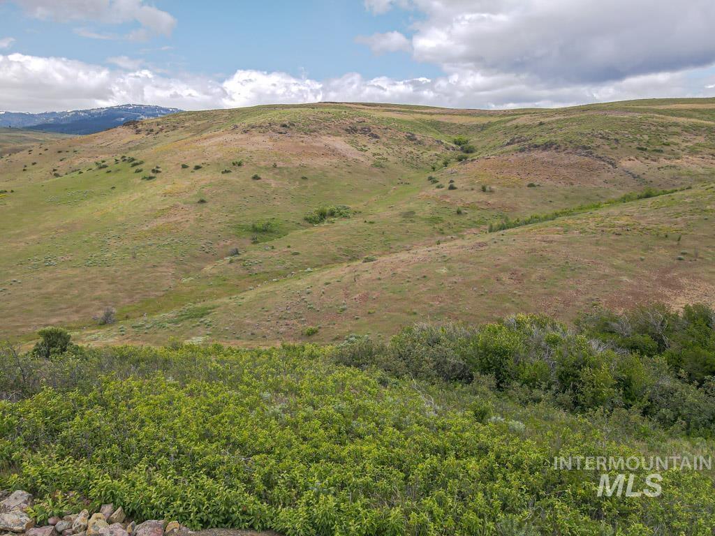 1720 Johnson Creek Road, Council, Idaho 83612, Land For Sale, Price $260,000, 98949570