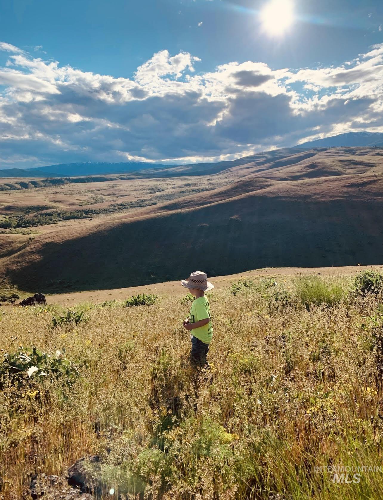 1720 Johnson Creek Road, Council, Idaho 83612, Land For Sale, Price $260,000, 98949570