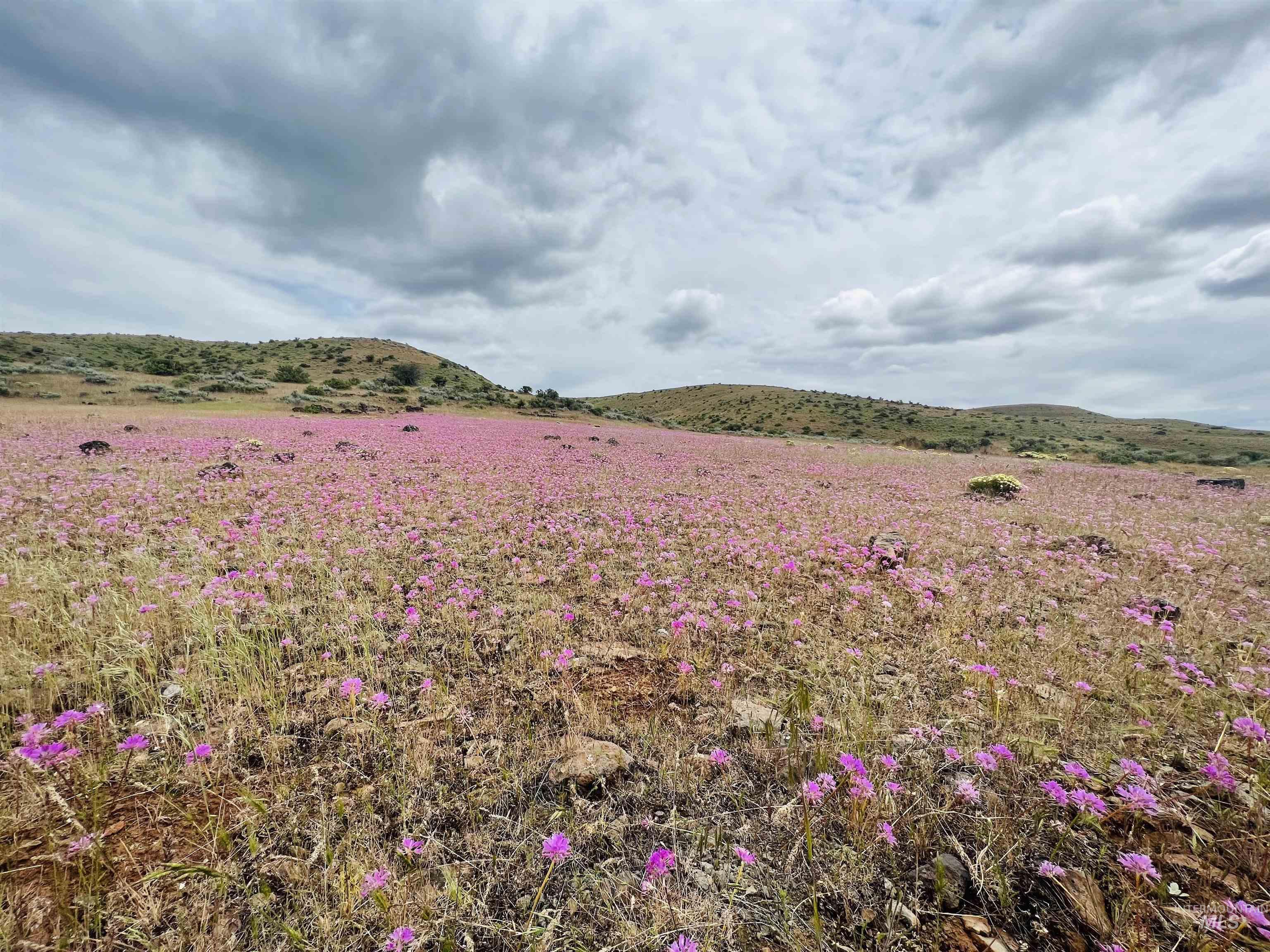 1720 Johnson Creek Road, Council, Idaho 83612, Land For Sale, Price $260,000, 98949570