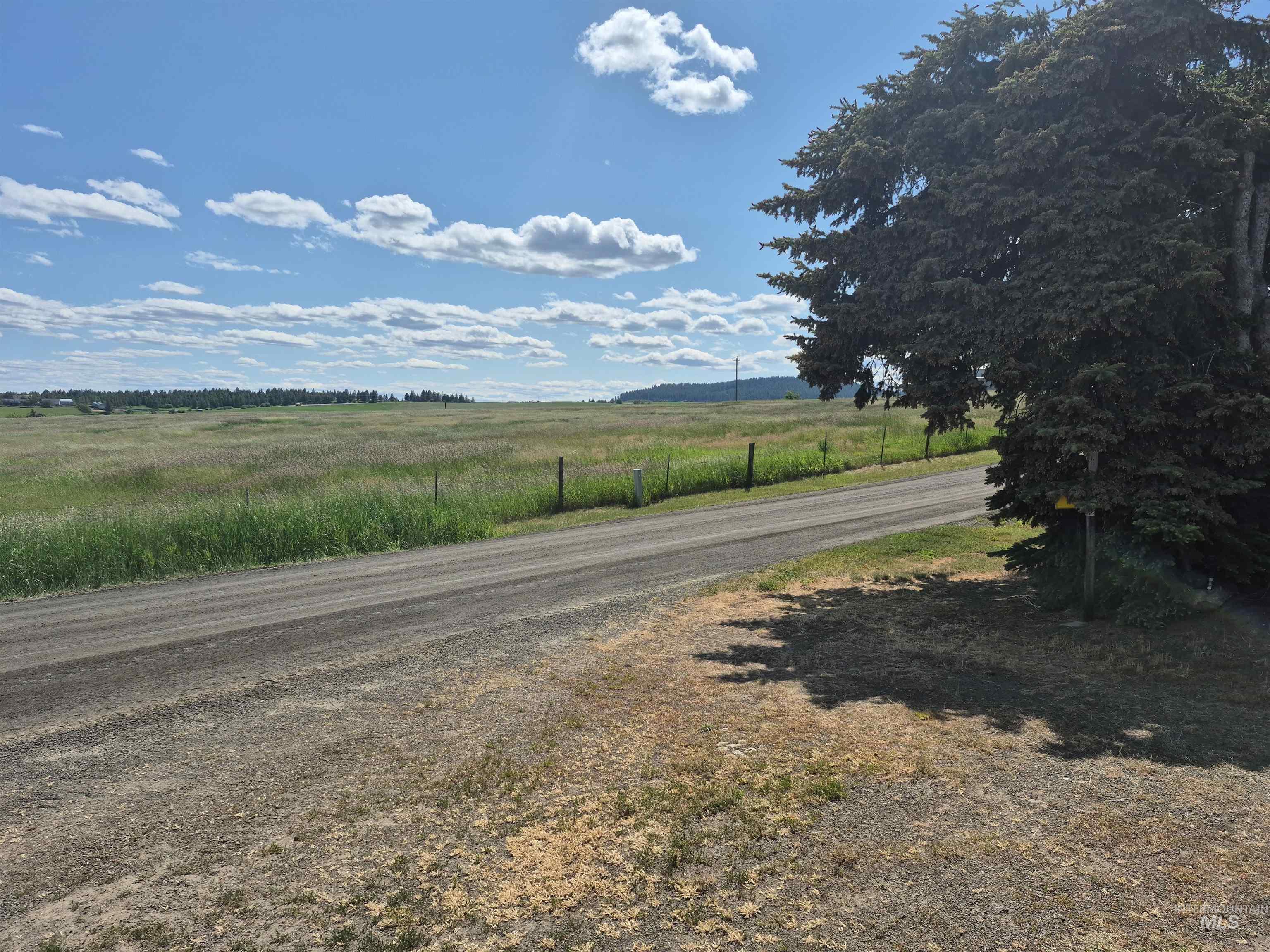 802 FOSTER AVE, CottonWood, Idaho 83522, 5 Bedrooms, 4 Bathrooms, Residential For Sale, Price $599,000, 98949576