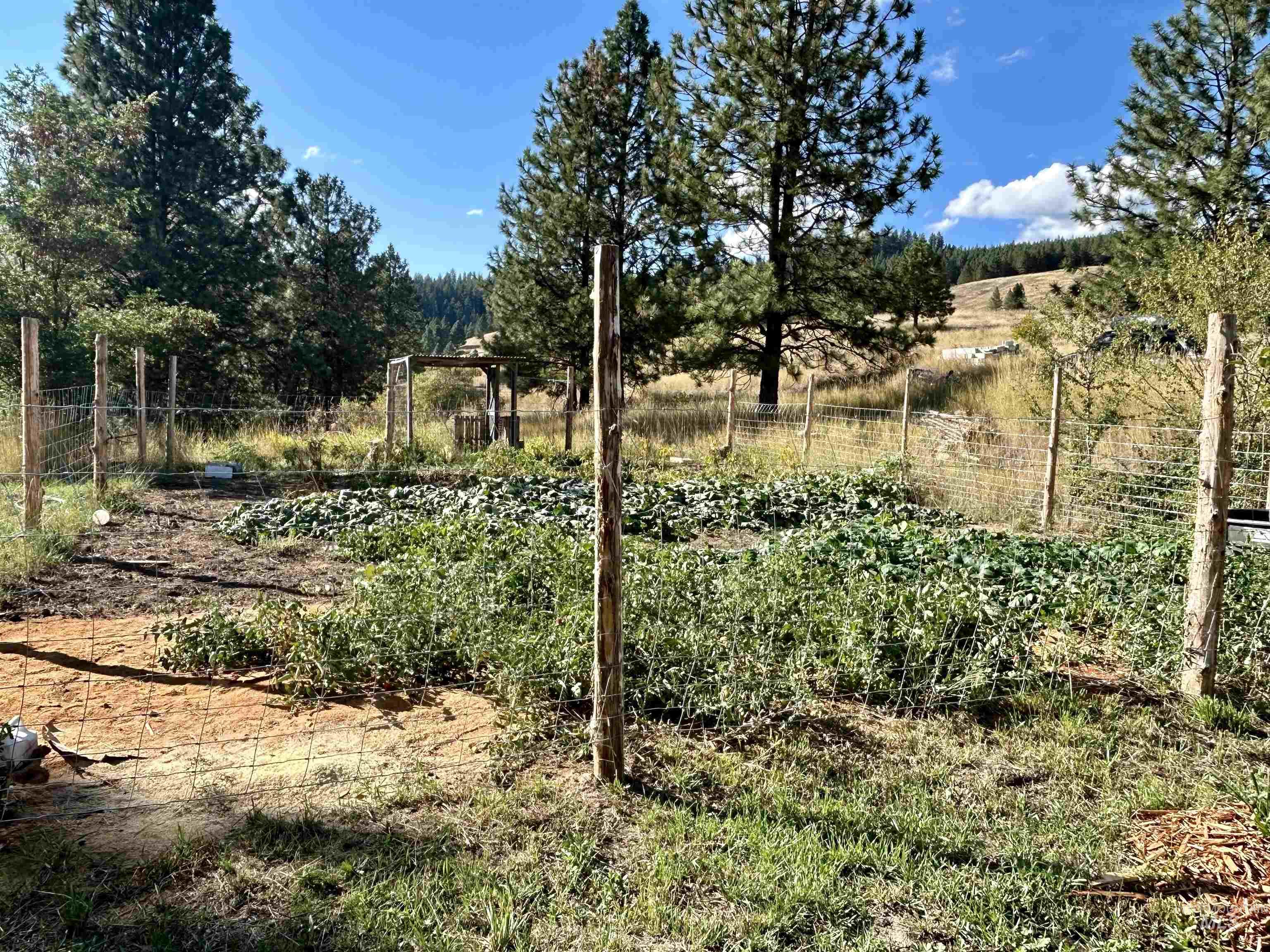 1510 Summitview Dr, Orofino, Idaho 83544, 2 Bedrooms, 1 Bathroom, Residential For Sale, Price $259,900, 98949614