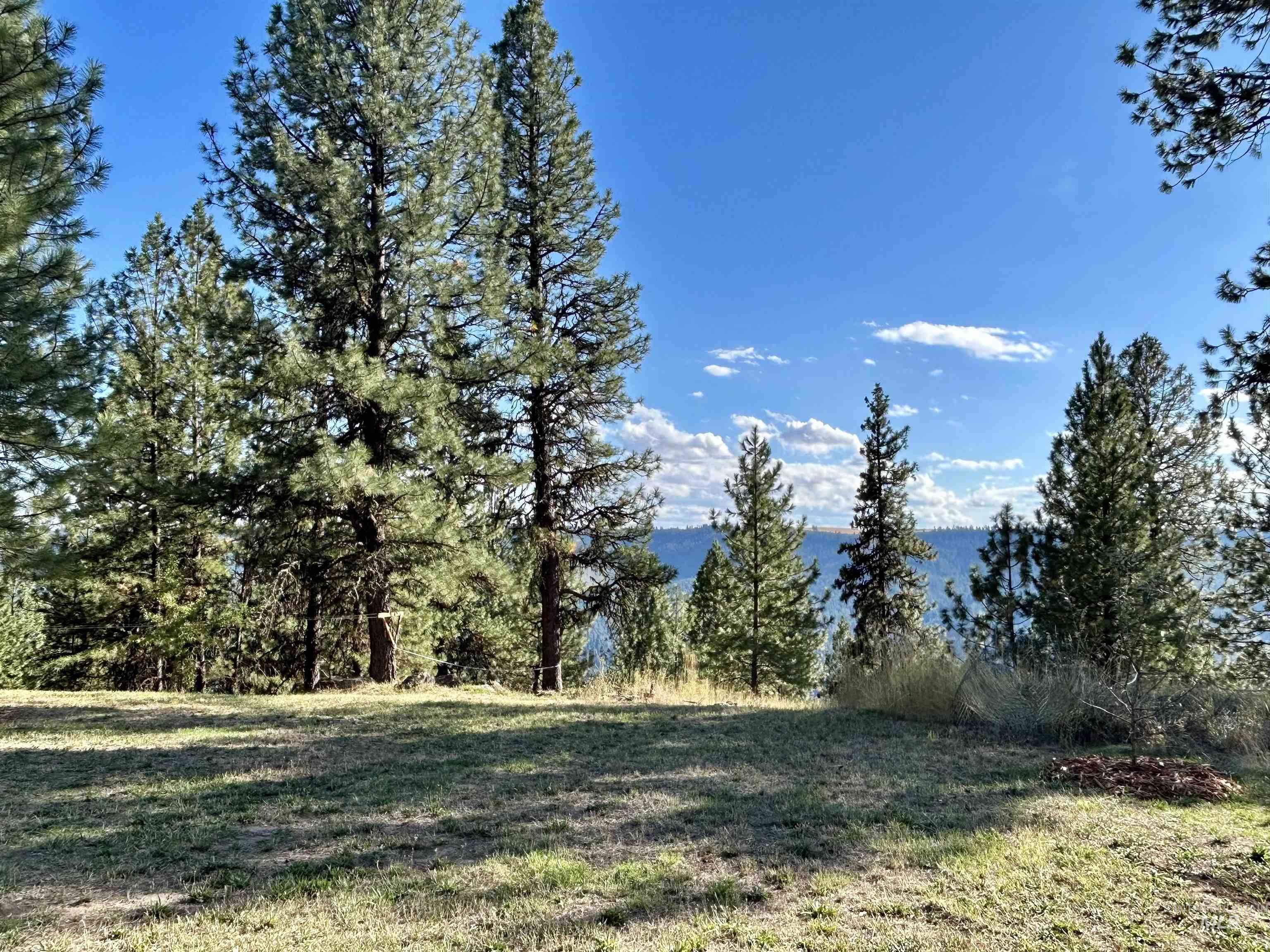 1510 Summitview Dr, Orofino, Idaho 83544, 2 Bedrooms, 1 Bathroom, Residential For Sale, Price $259,900, 98949614