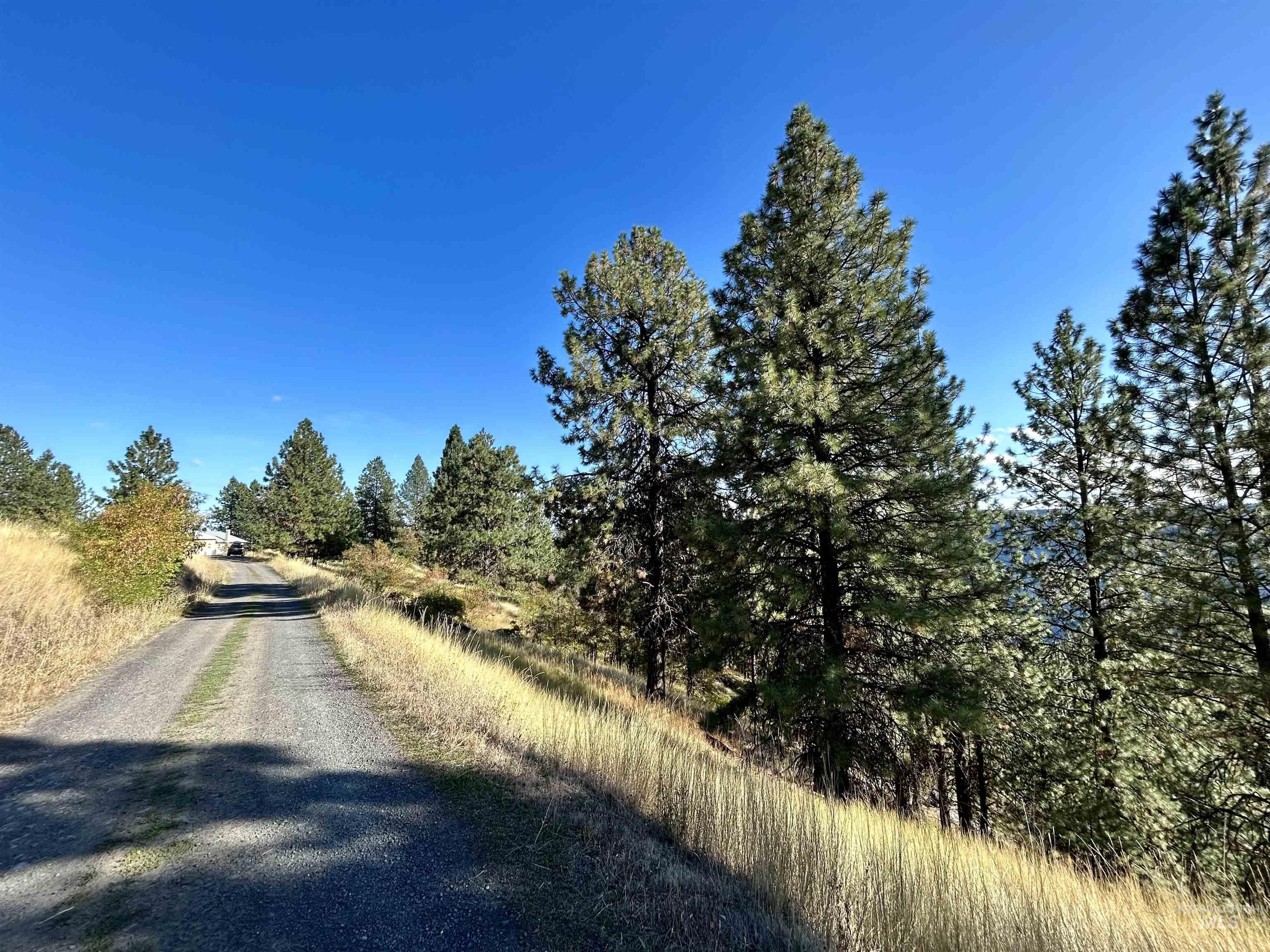 1510 Summitview Dr, Orofino, Idaho 83544, 2 Bedrooms, 1 Bathroom, Residential For Sale, Price $259,900, 98949614