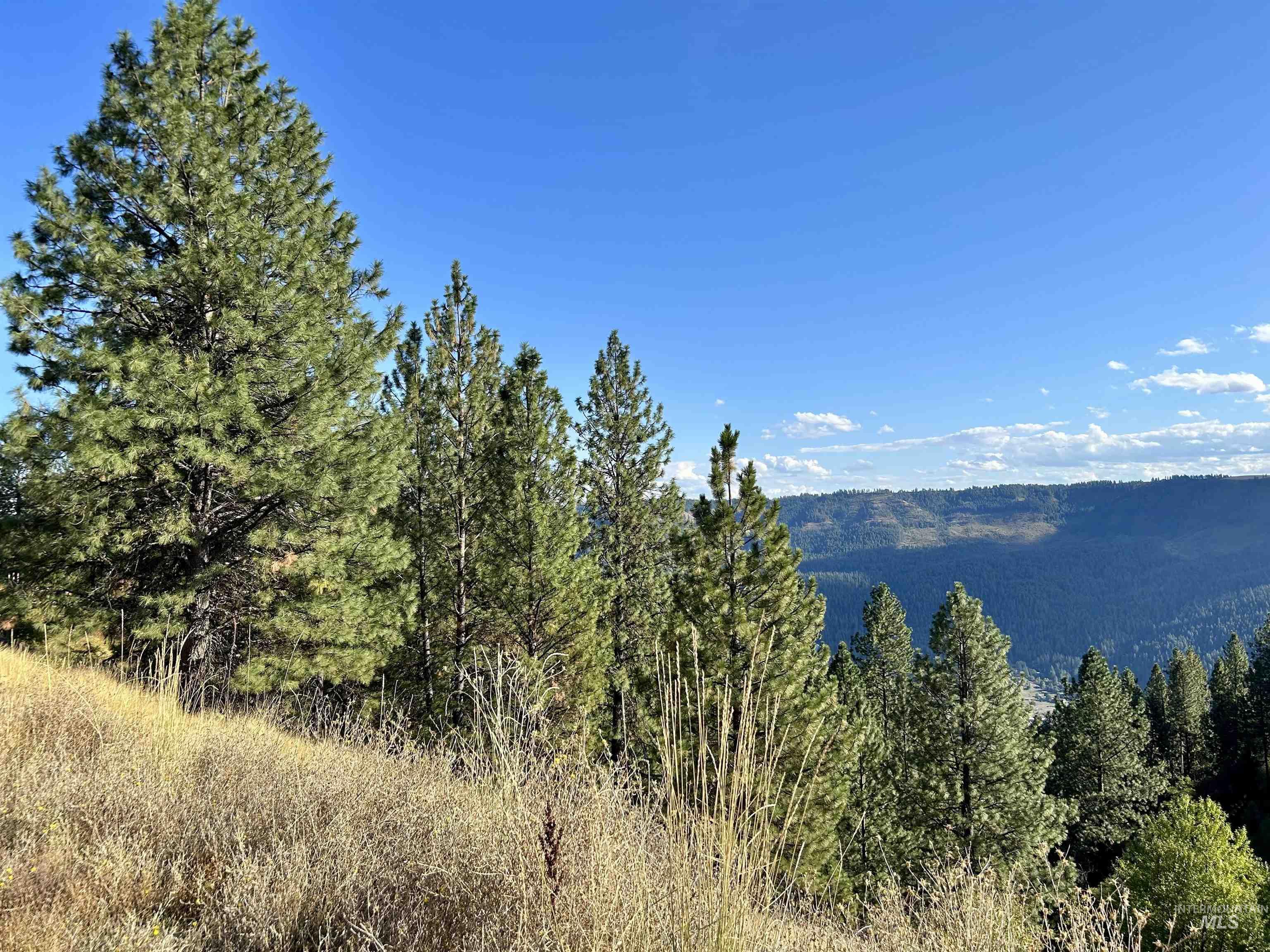 1510 Summitview Dr, Orofino, Idaho 83544, 2 Bedrooms, 1 Bathroom, Residential For Sale, Price $259,900, 98949614