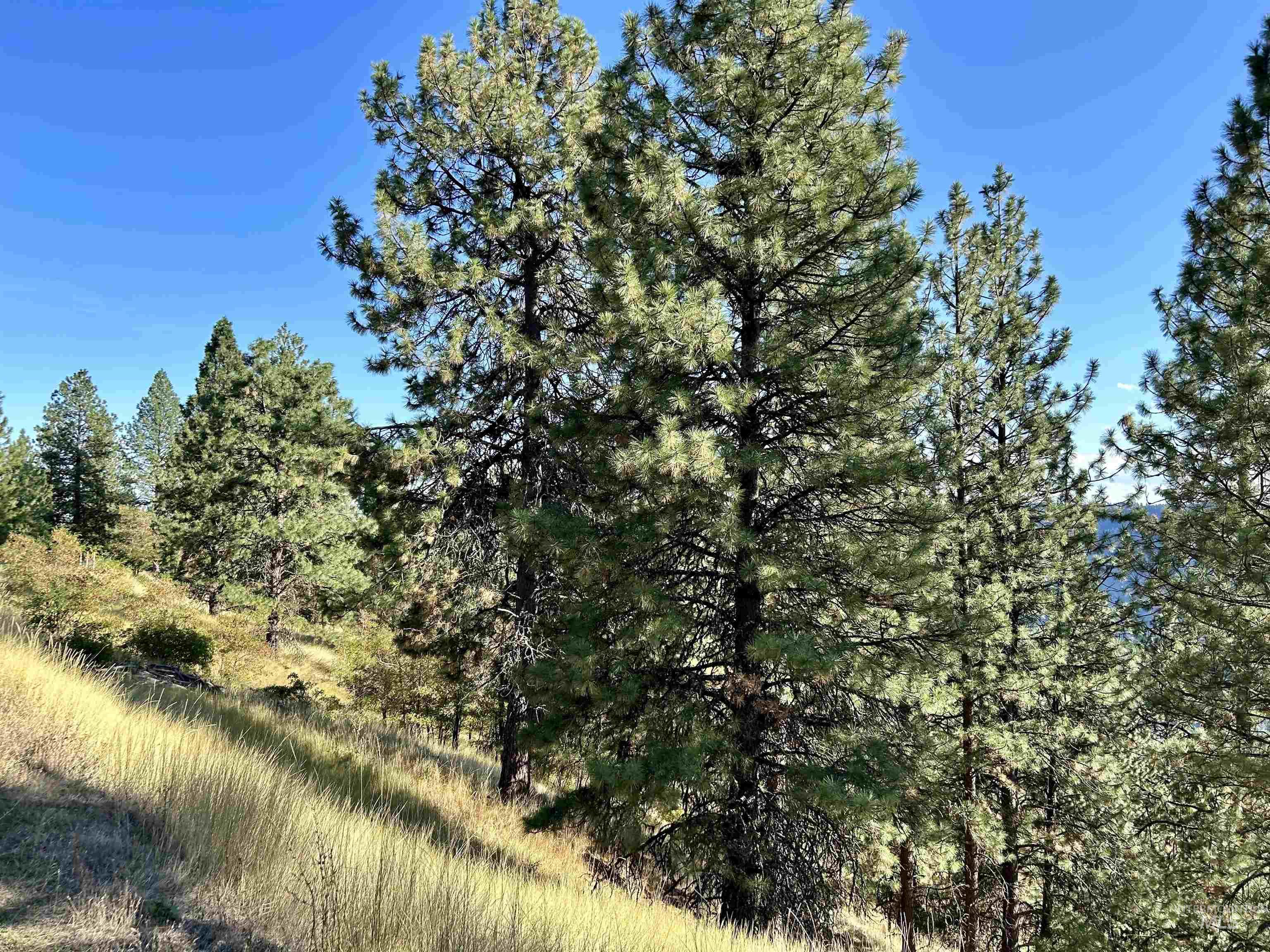 1510 Summitview Dr, Orofino, Idaho 83544, 2 Bedrooms, 1 Bathroom, Residential For Sale, Price $259,900, 98949614