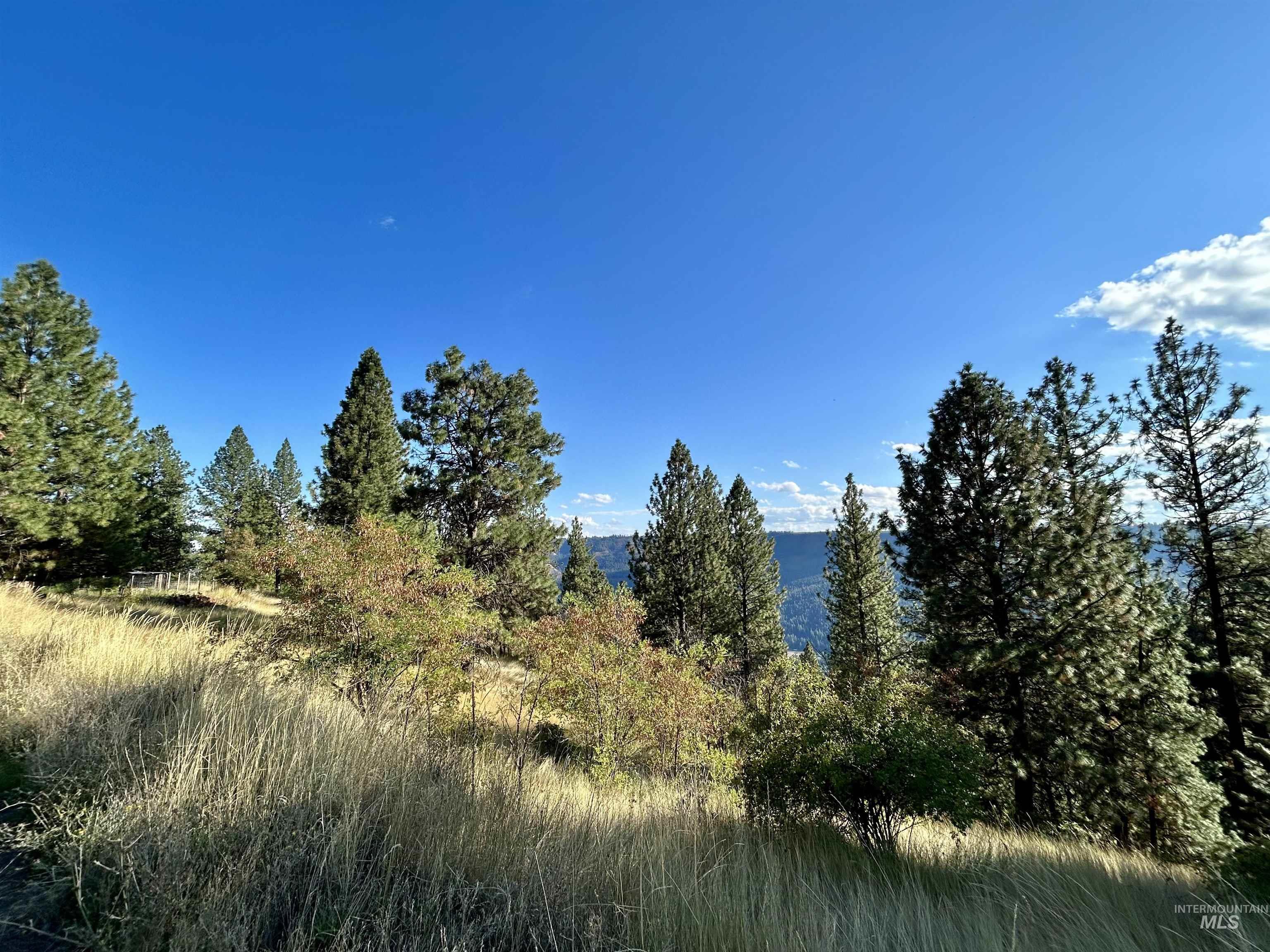 1510 Summitview Dr, Orofino, Idaho 83544, 2 Bedrooms, 1 Bathroom, Residential For Sale, Price $259,900, 98949614