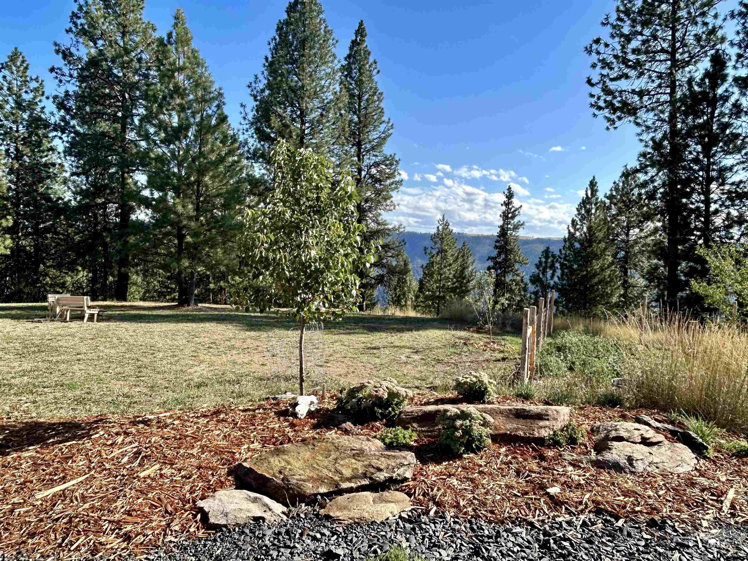1510 Summitview Dr, Orofino, Idaho 83544, 2 Bedrooms, 1 Bathroom, Residential For Sale, Price $259,900, 98949614