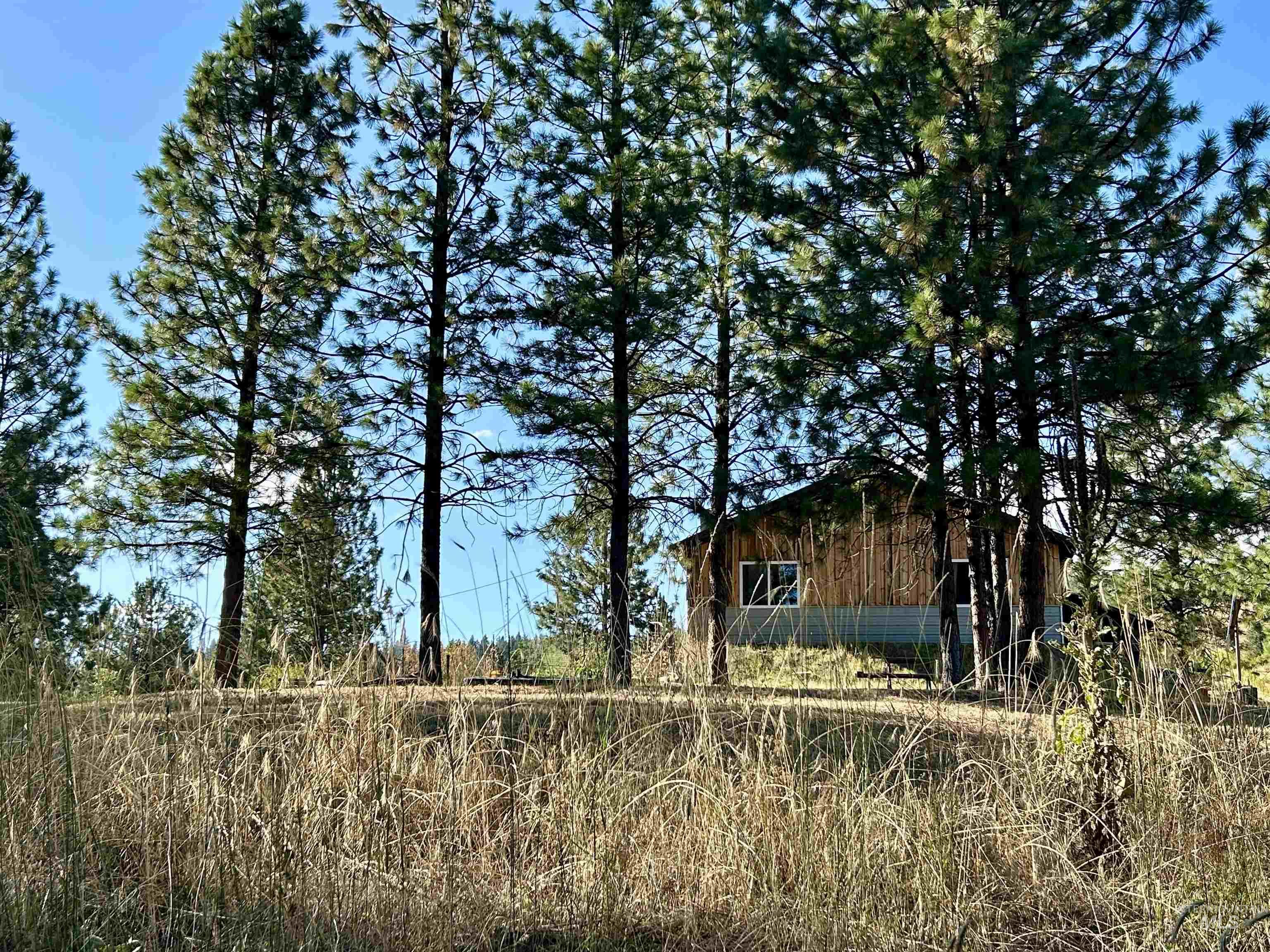 1510 Summitview Dr, Orofino, Idaho 83544, 2 Bedrooms, 1 Bathroom, Residential For Sale, Price $259,900, 98949614