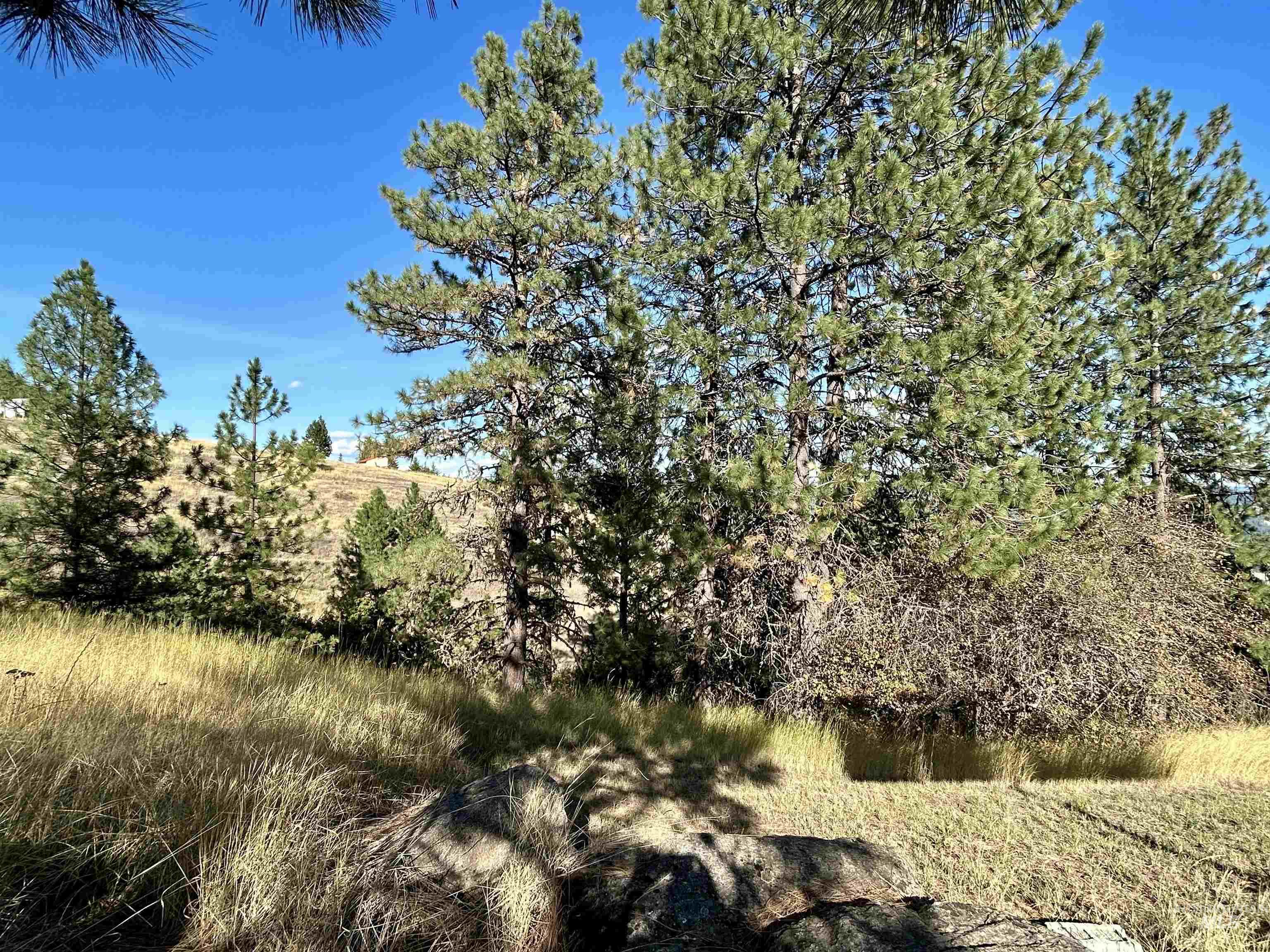 1510 Summitview Dr, Orofino, Idaho 83544, 2 Bedrooms, 1 Bathroom, Residential For Sale, Price $259,900, 98949614