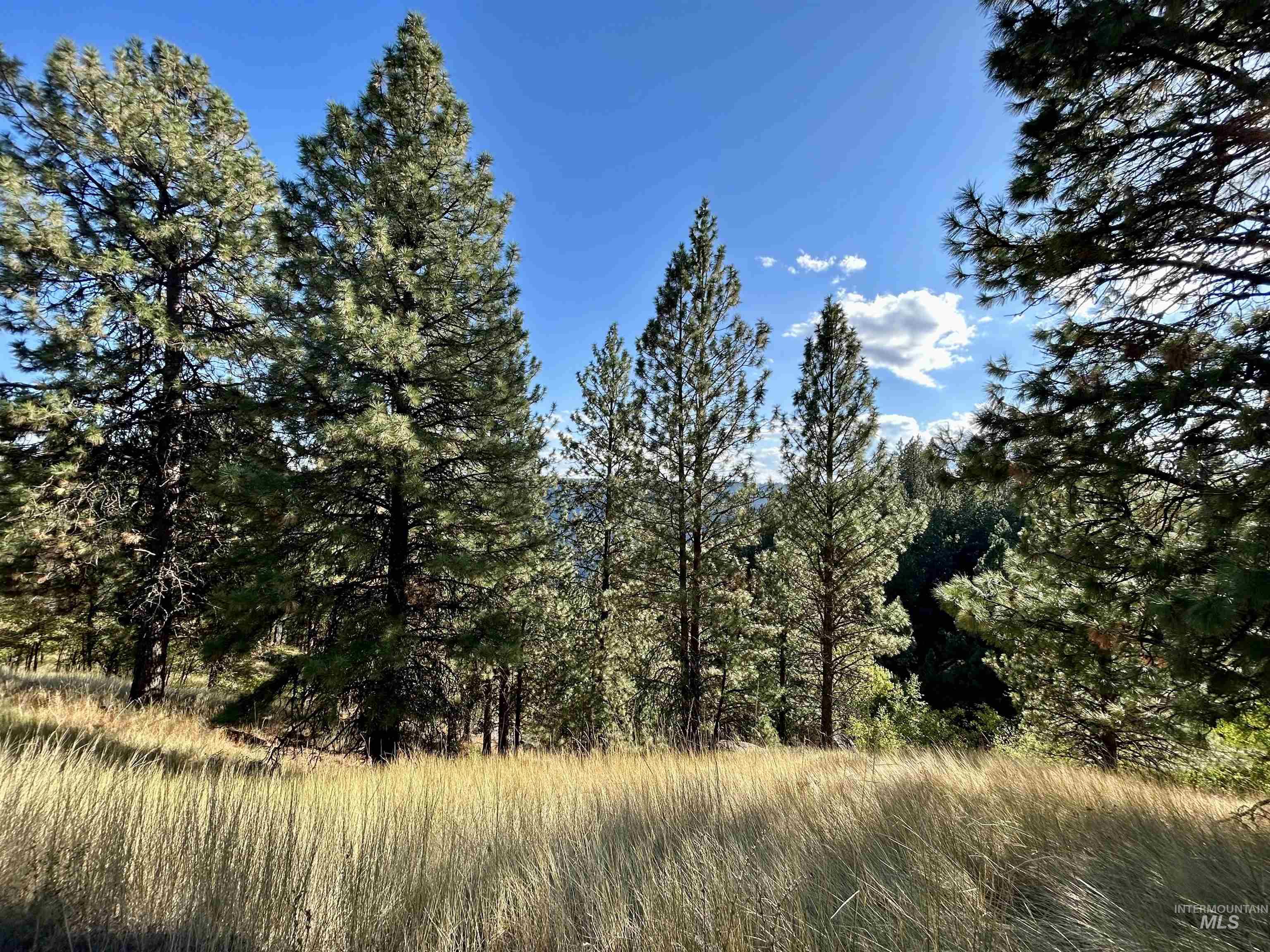 1510 Summitview Dr, Orofino, Idaho 83544, 2 Bedrooms, 1 Bathroom, Residential For Sale, Price $259,900, 98949614