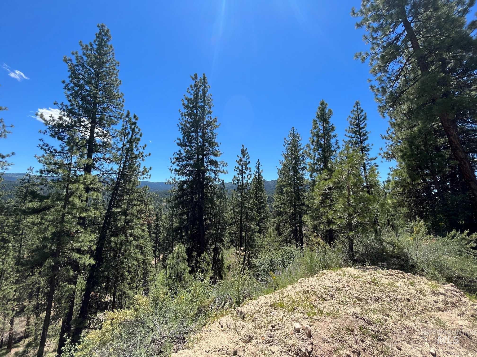 TBD Four Pines Loop, Idaho City, Idaho 83631, Land For Sale, Price $800,000, 98949657