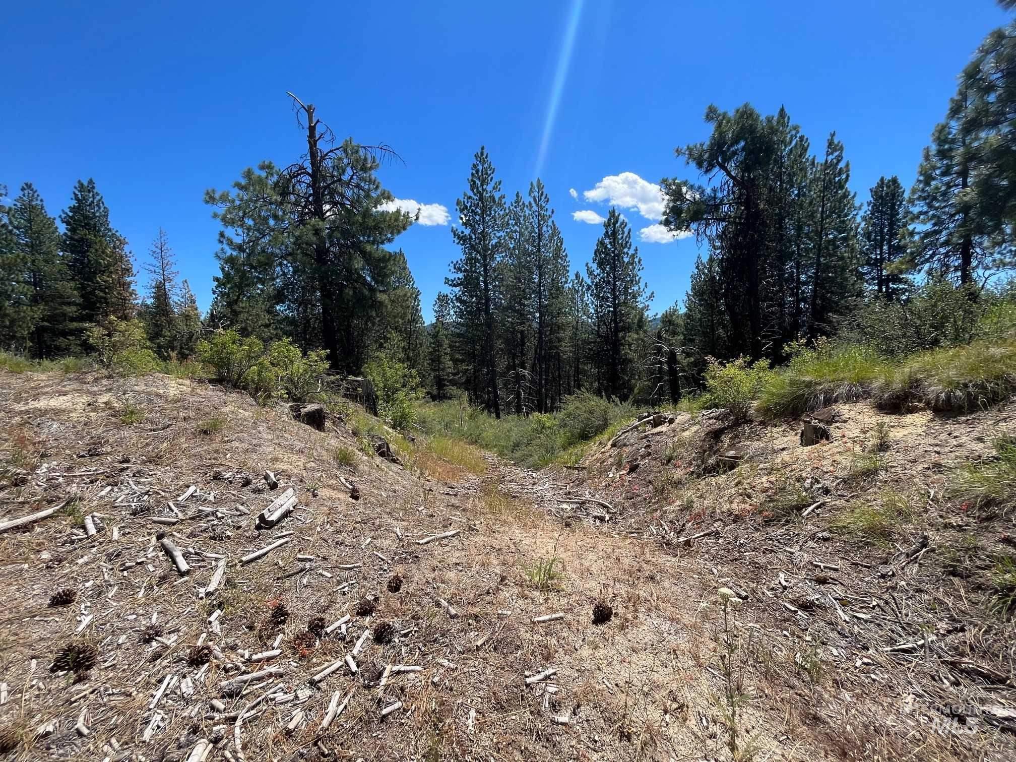 TBD Four Pines Loop, Idaho City, Idaho 83631, Land For Sale, Price $800,000, 98949659