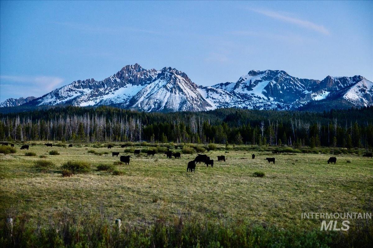 1000 Nip N Tuck Nip & Tuck Rd., Stanley, Idaho 83278, 4 Bedrooms, 3 Bathrooms, Farm & Ranch For Sale, Price $7,500,000, 98949677