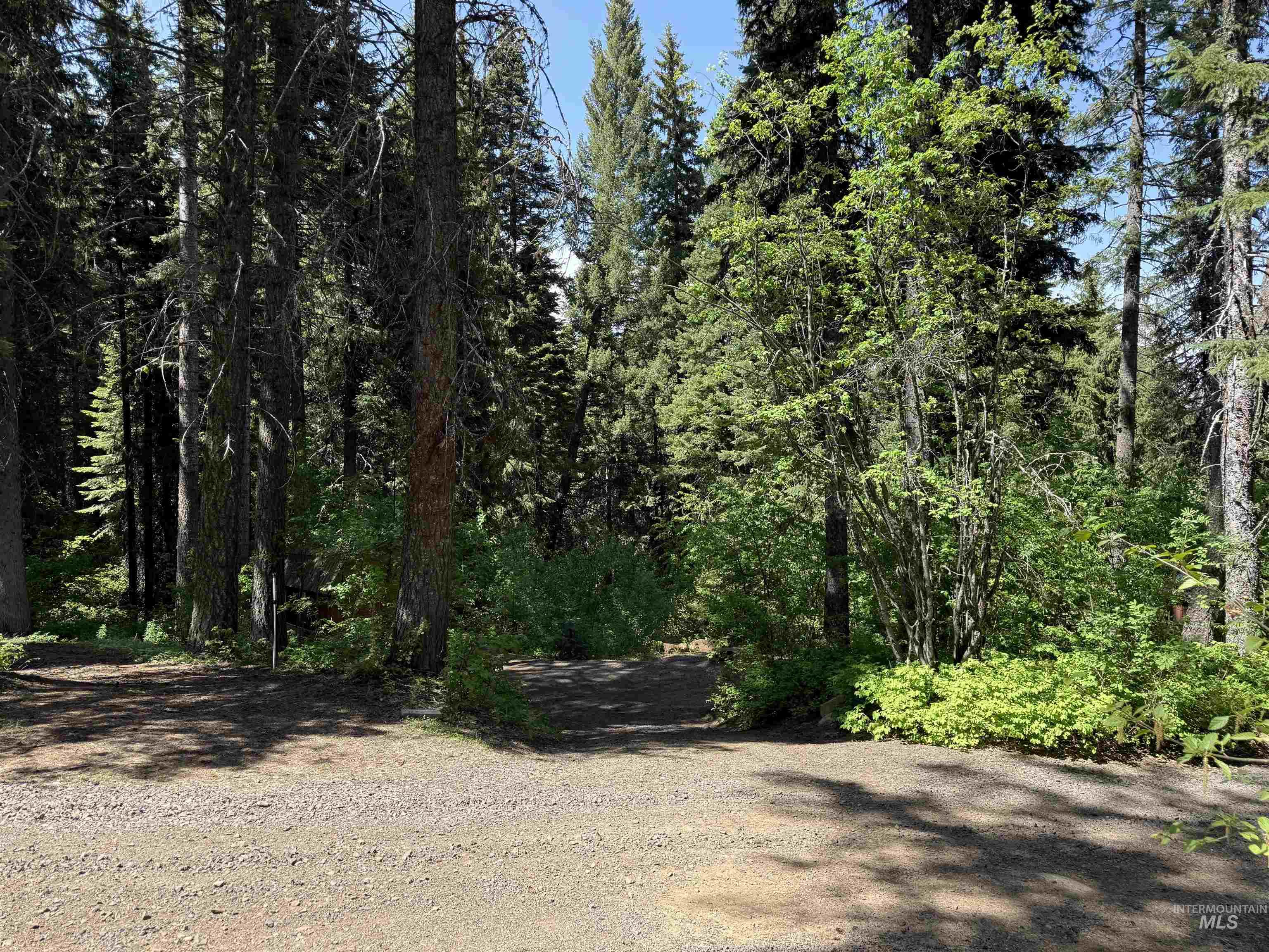 24 Wapiti Dr, Cascade, Idaho 83611, Land For Sale, Price $239,000, 98949683