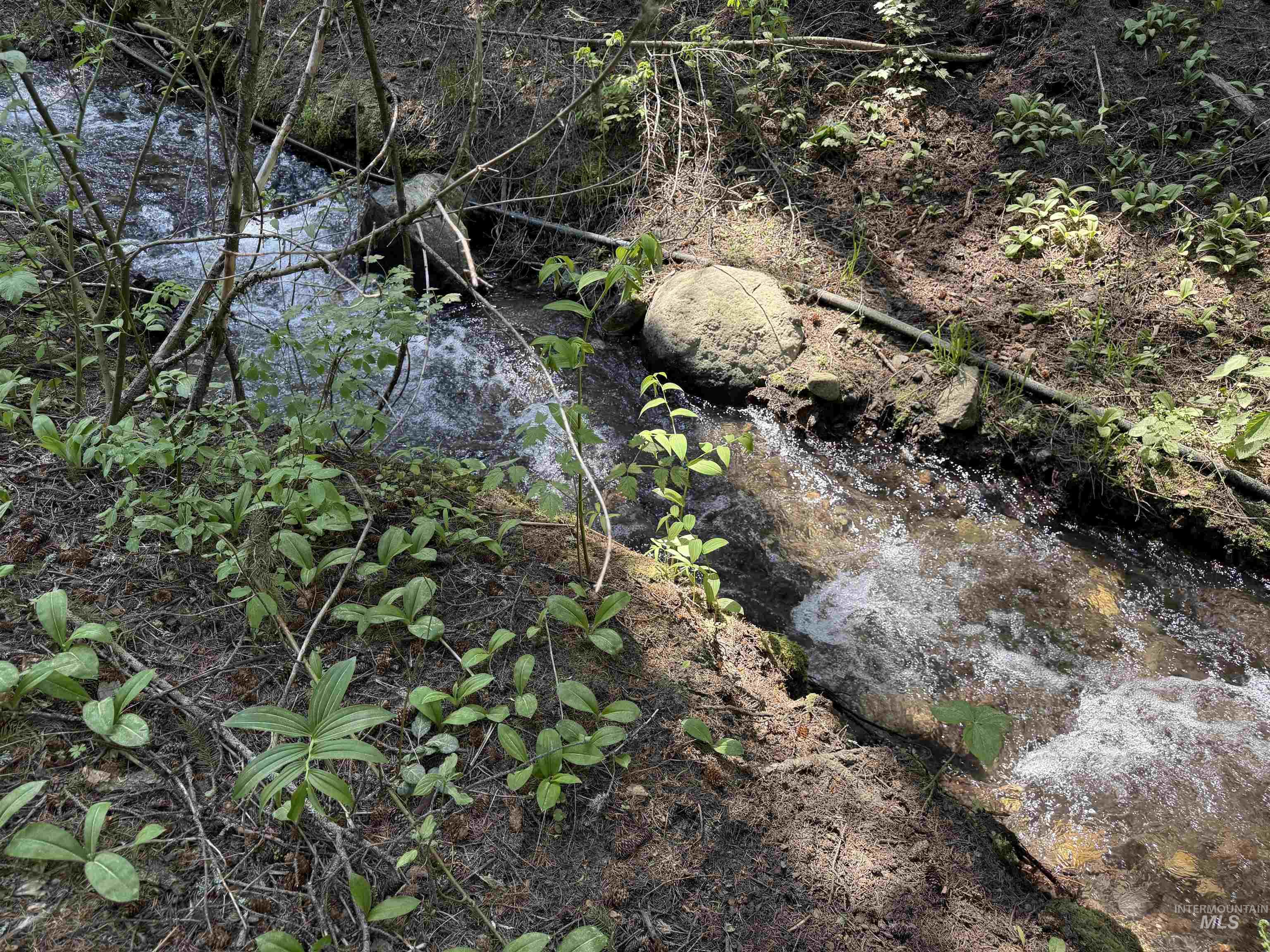 24 Wapiti Dr, Cascade, Idaho 83611, Land For Sale, Price $239,000, 98949683