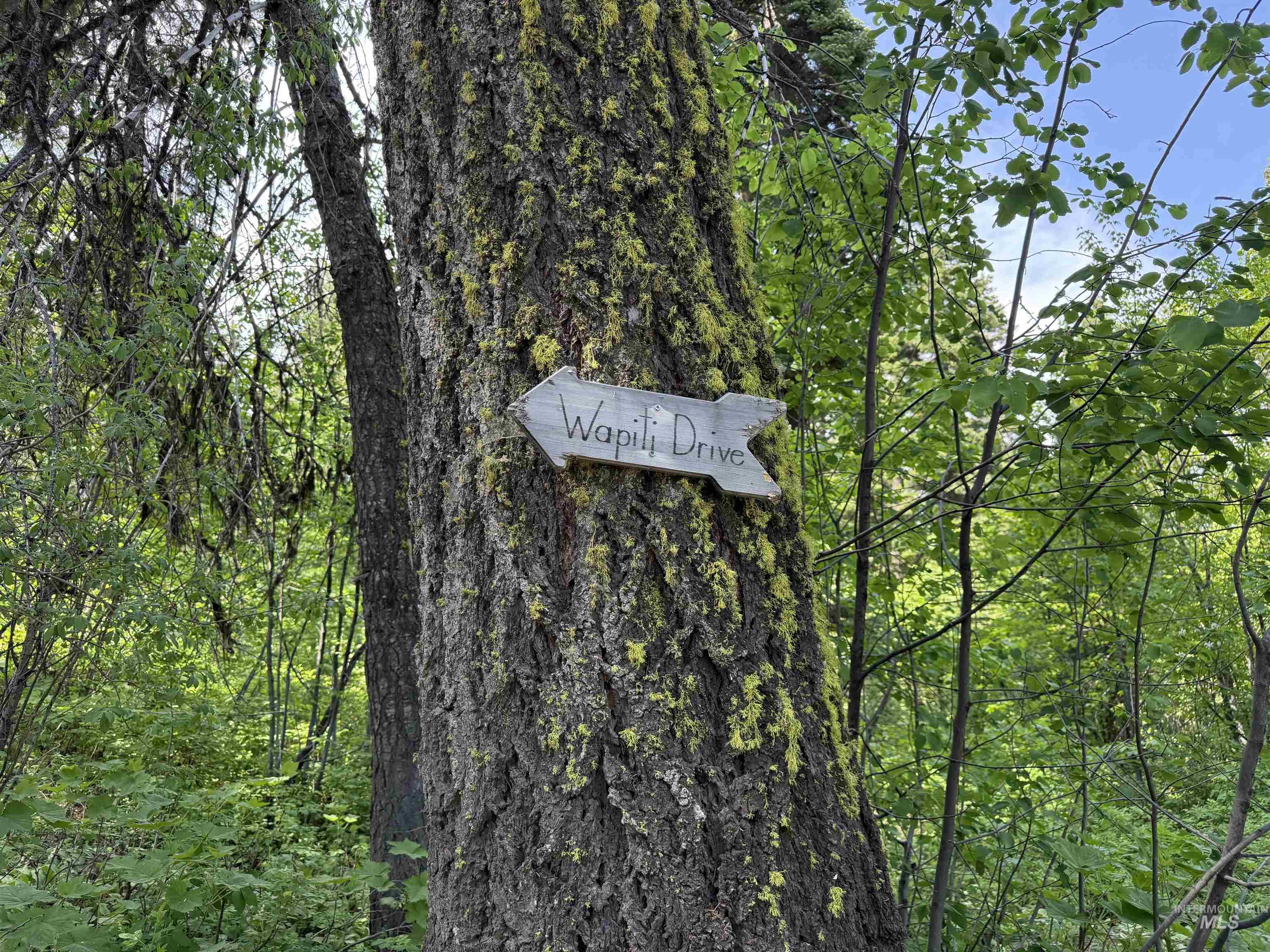 24 Wapiti Dr, Cascade, Idaho 83611, Land For Sale, Price $239,000, 98949683