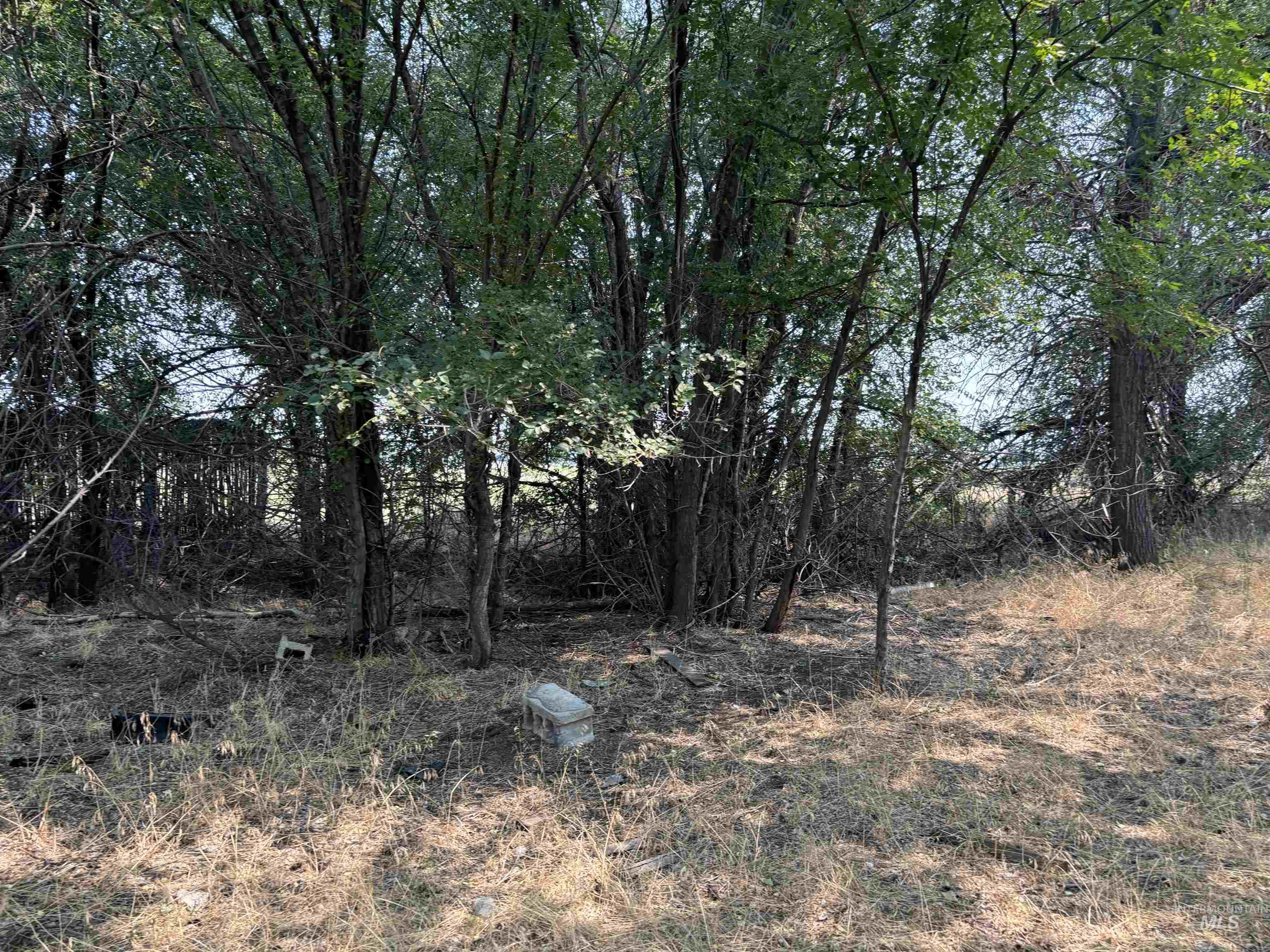 300 E 3rd, Burley, Idaho 83318, Land For Sale, Price $250,000, 98949696