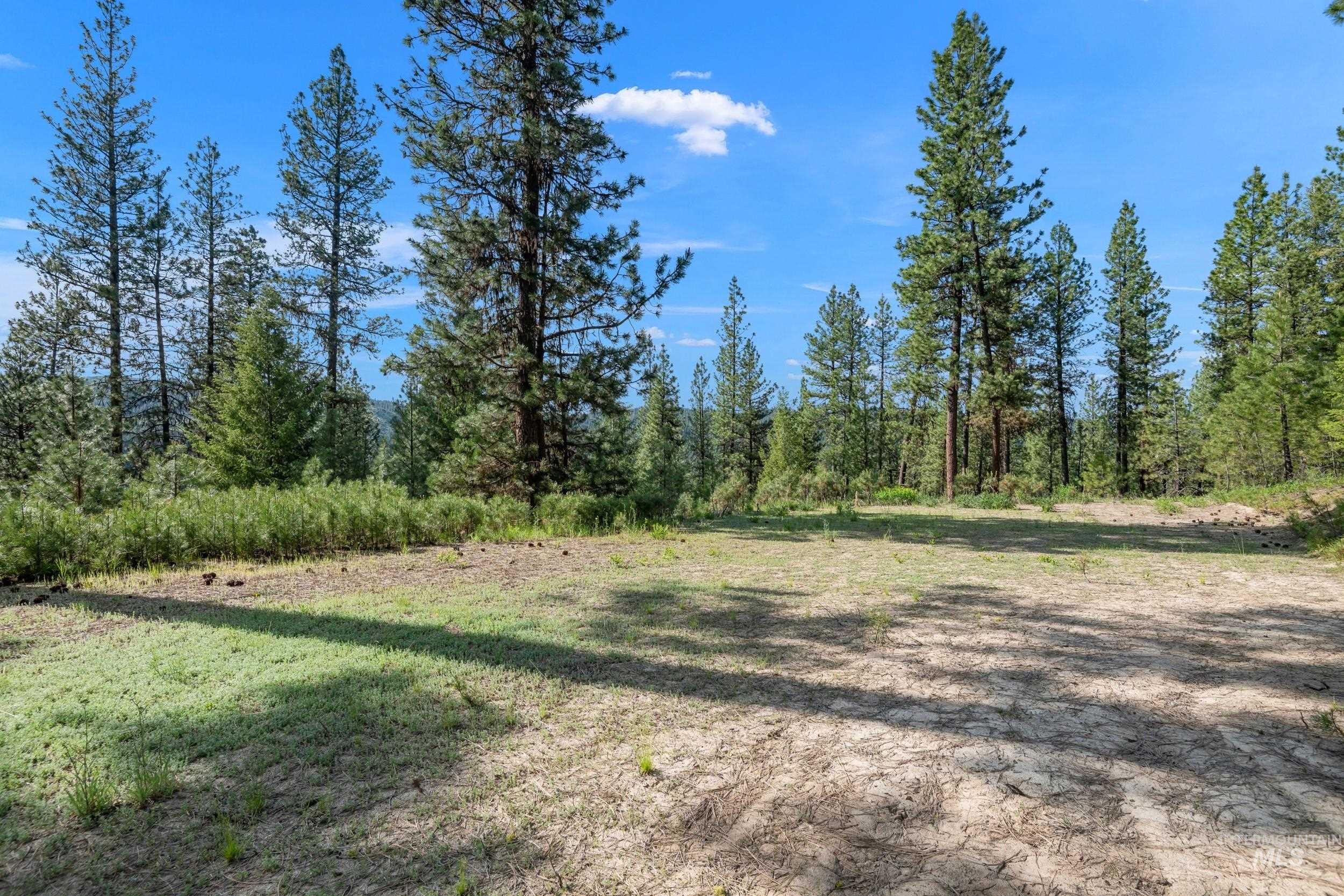 Lot 24 Block 1 Elk Run, Idaho City, Idaho 83631, Land For Sale, Price $199,000, 98949764