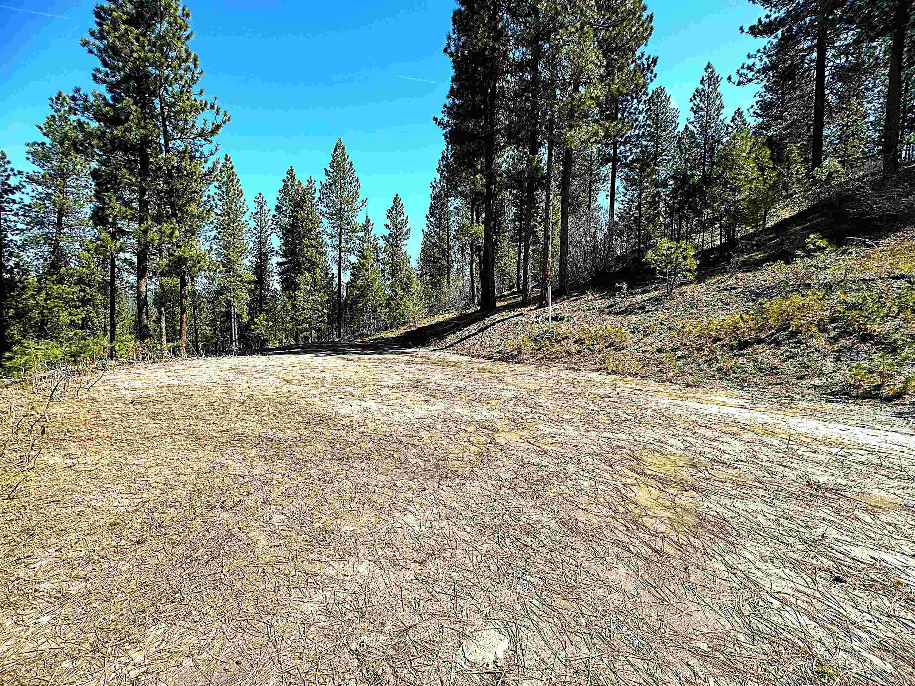 Lot 24 Block 1 Elk Run, Idaho City, Idaho 83631, Land For Sale, Price $199,000, 98949764