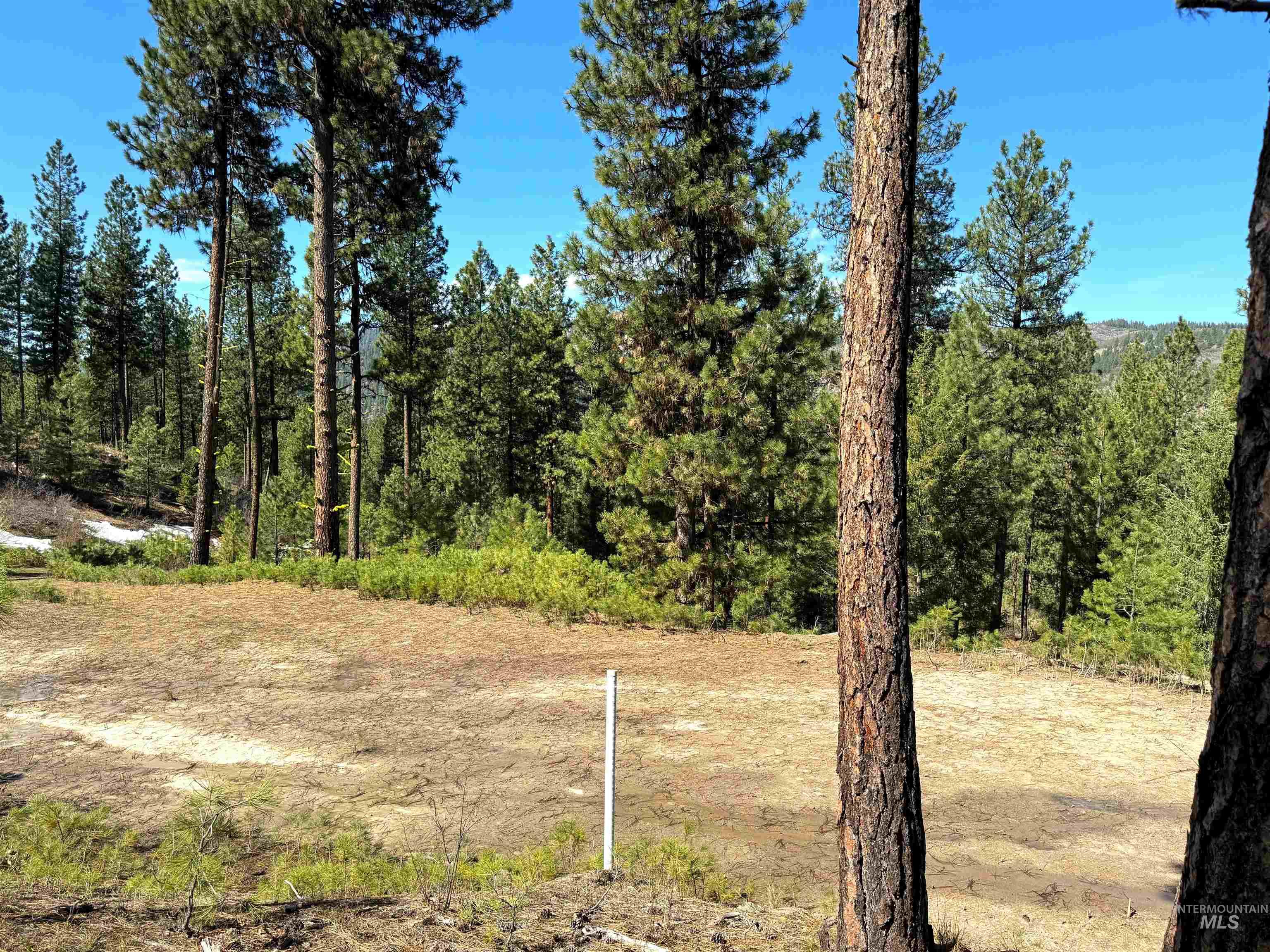 Lot 24 Block 1 Elk Run, Idaho City, Idaho 83631, Land For Sale, Price $199,000, 98949764