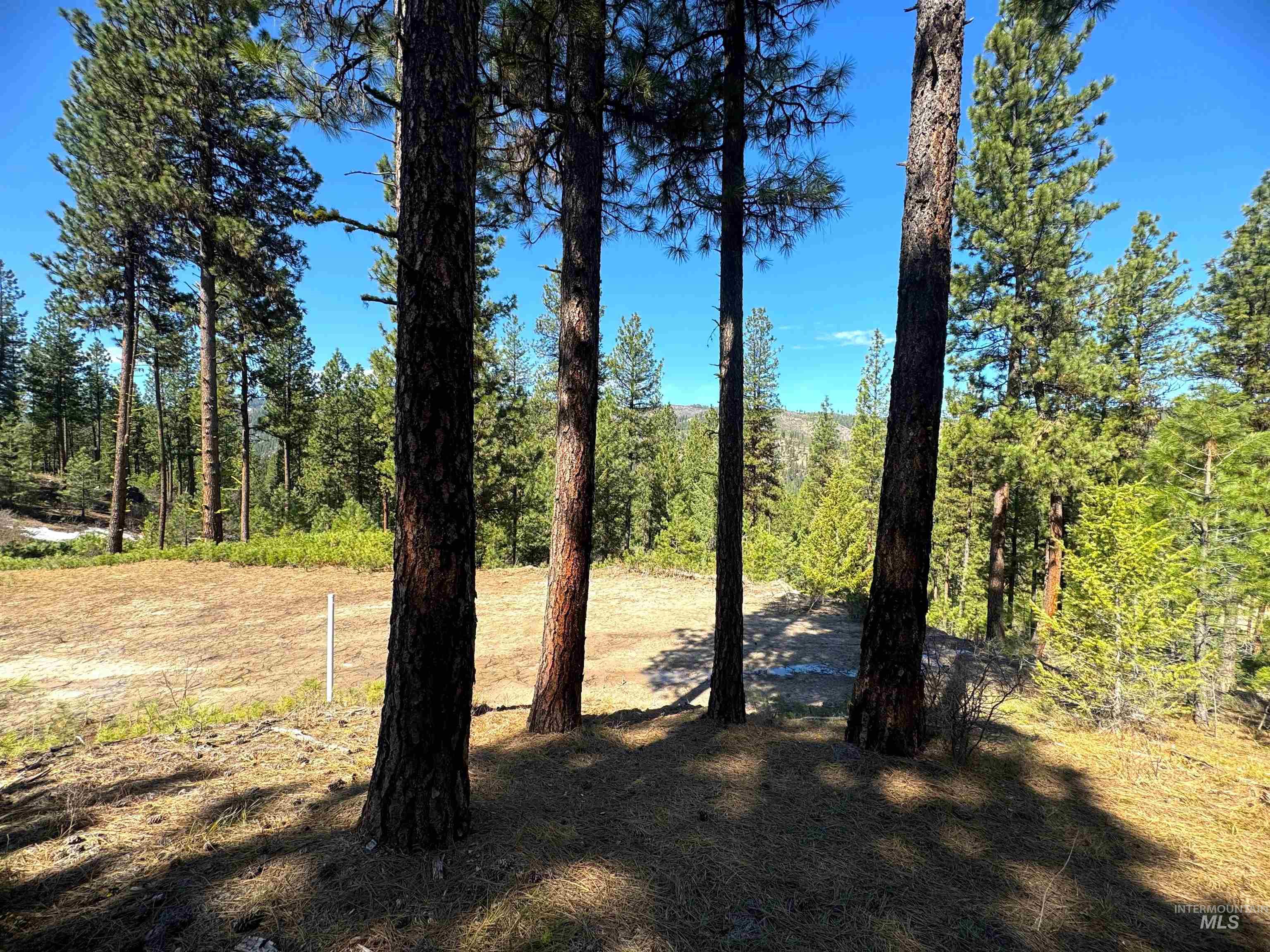 Lot 24 Block 1 Elk Run, Idaho City, Idaho 83631, Land For Sale, Price $199,000, 98949764