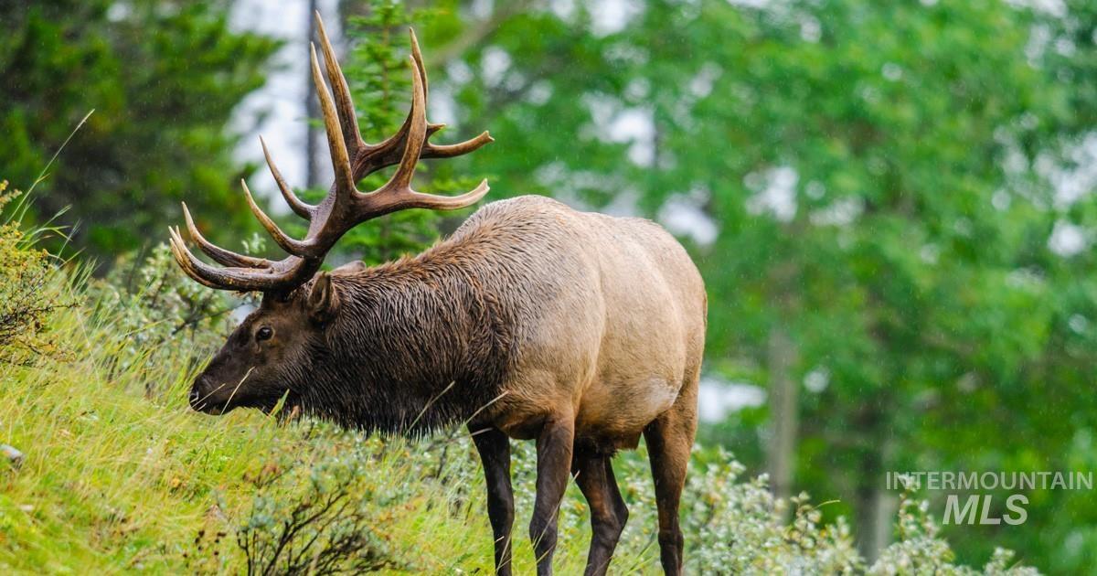 Lot 24 Block 1 Elk Run, Idaho City, Idaho 83631, Land For Sale, Price $199,000, 98949764