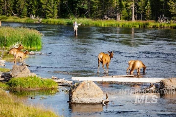 Lot 24 Block 1 Elk Run, Idaho City, Idaho 83631, Land For Sale, Price $199,000, 98949764