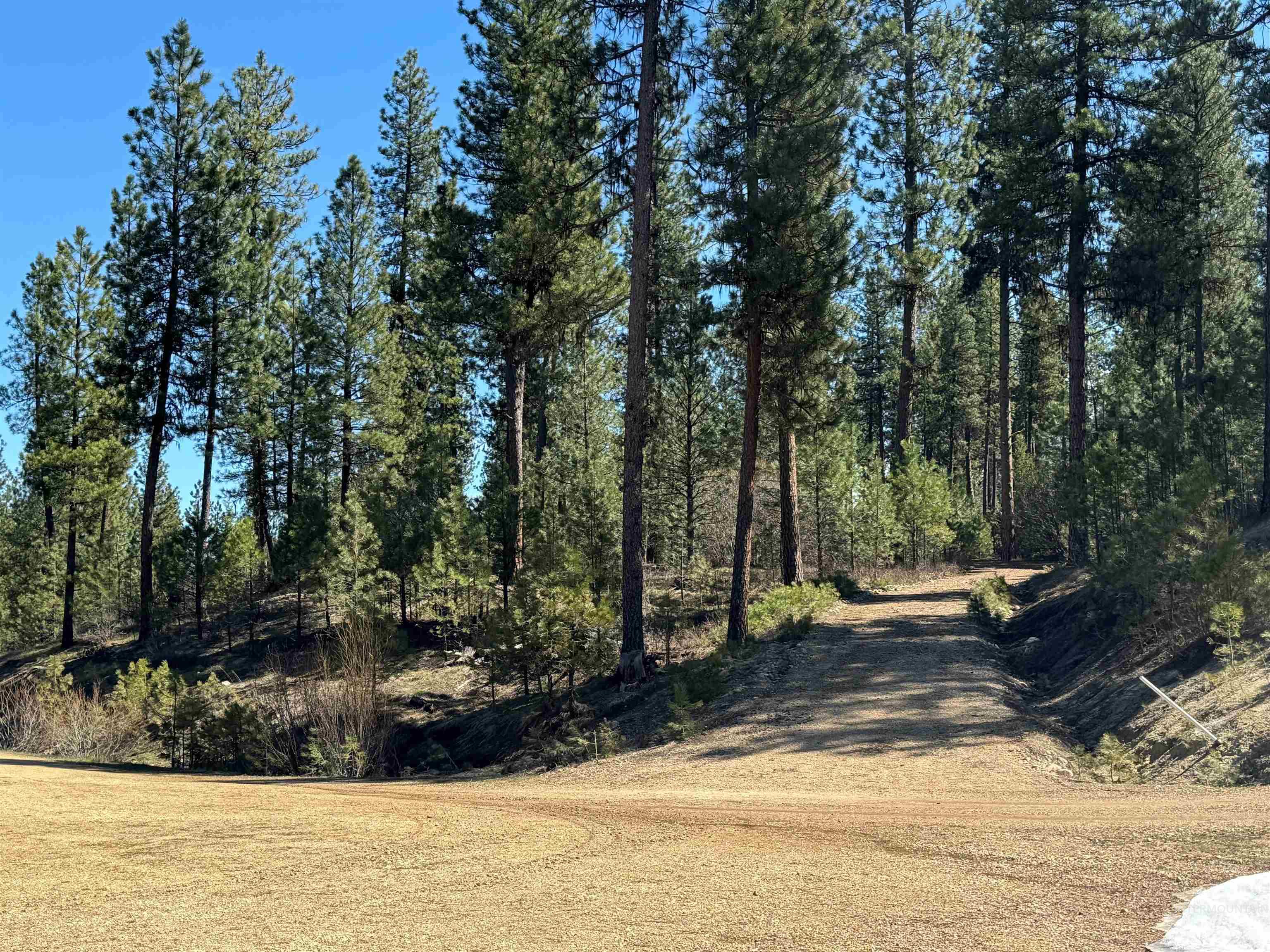 Lot 24 Block 1 Elk Run, Idaho City, Idaho 83631, Land For Sale, Price $199,000, 98949764