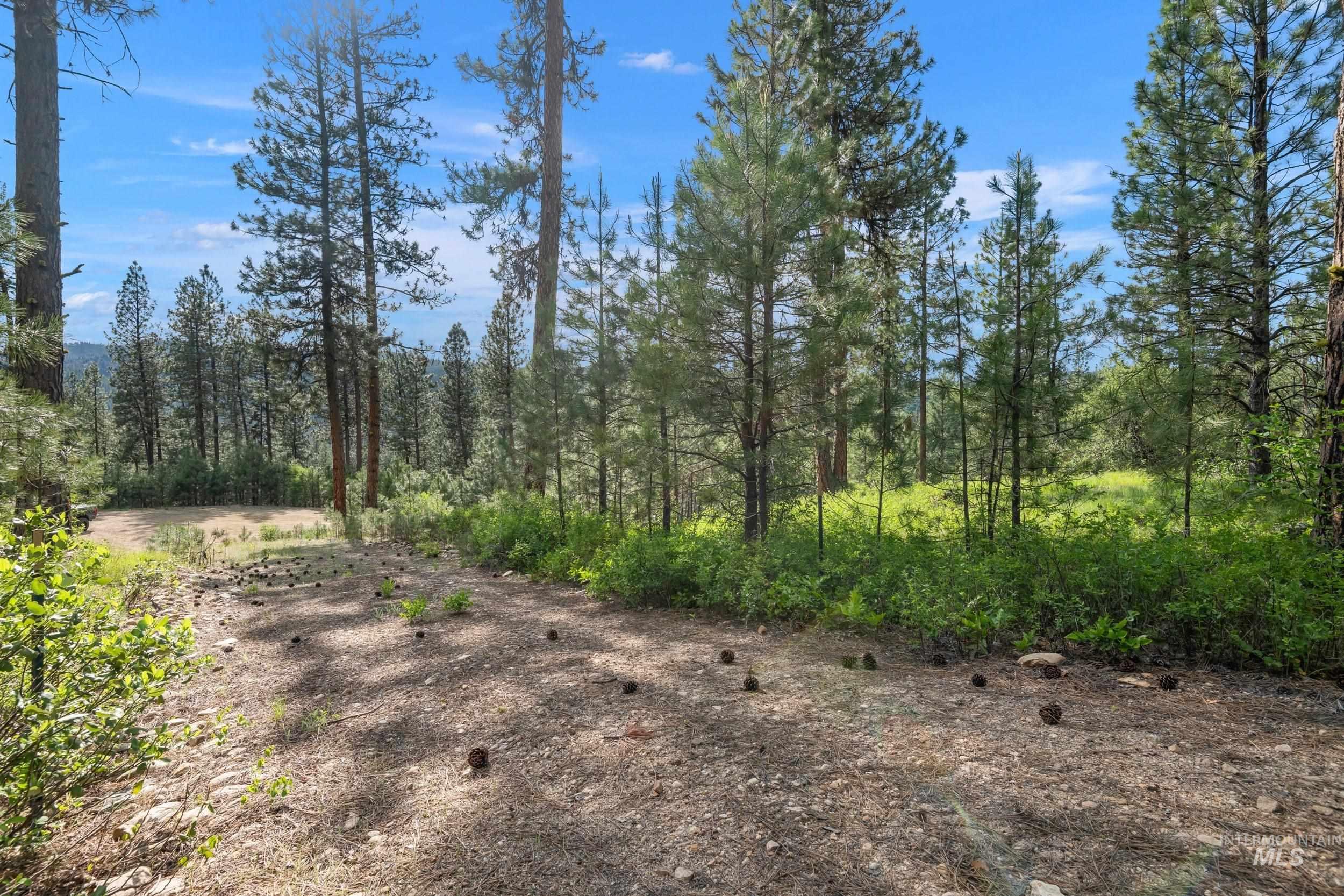 Lot 24 Block 1 Elk Run, Idaho City, Idaho 83631, Land For Sale, Price $199,000, 98949764