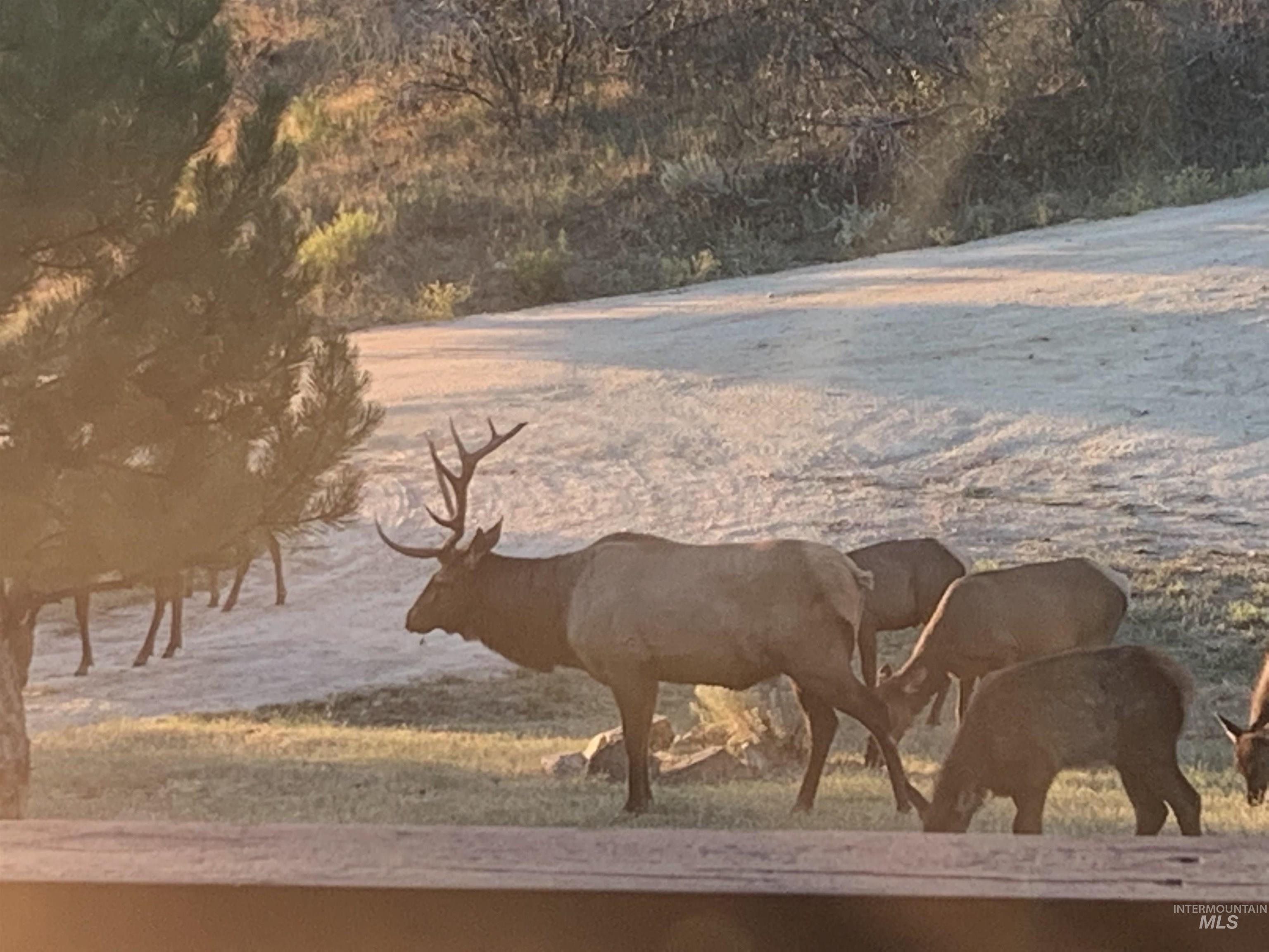 6 White Tail Run, Boise, Idaho 83716, 4 Bedrooms, 2 Bathrooms, Residential For Sale, Price $874,900, 98949795