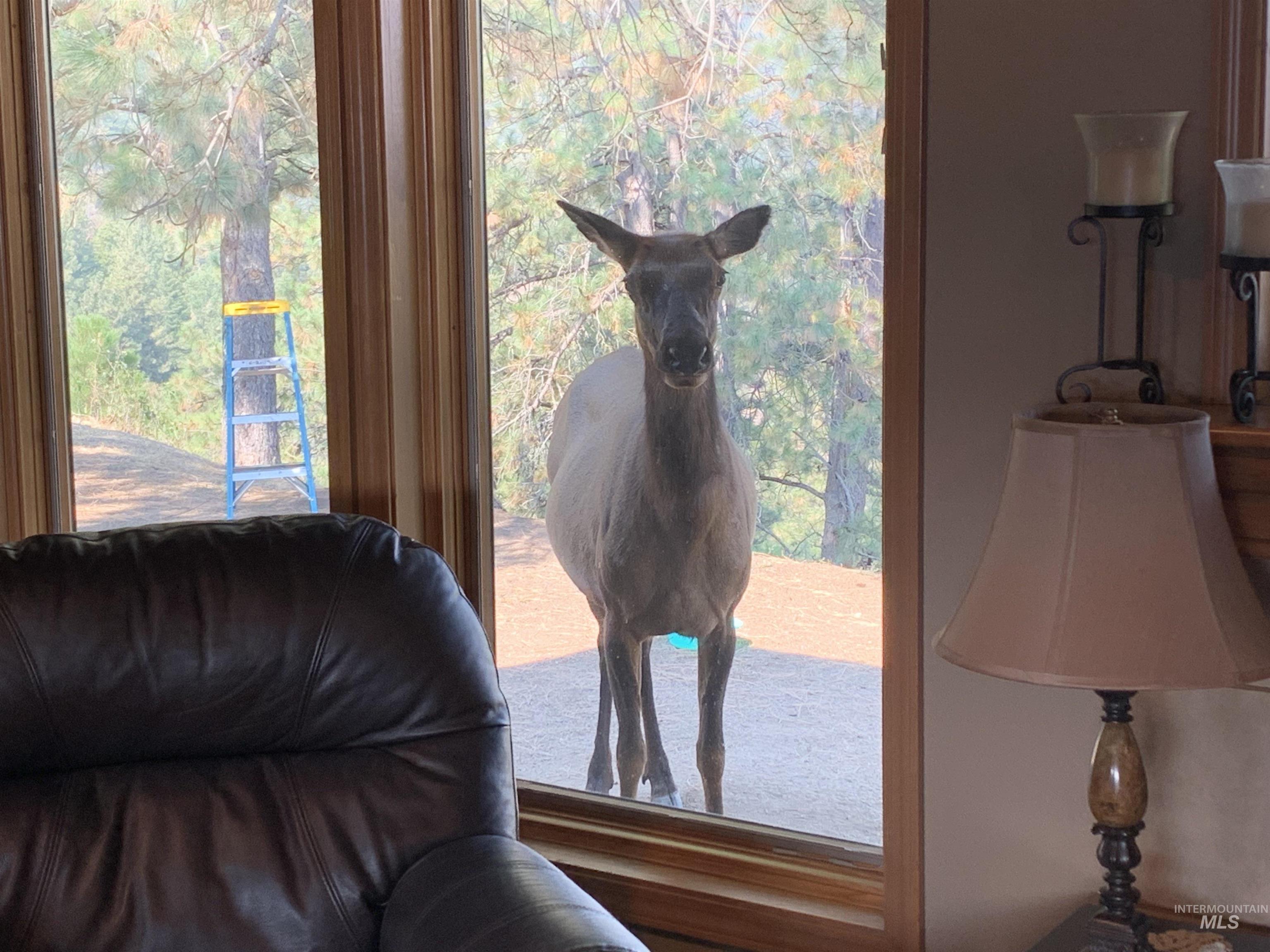 6 White Tail Run, Boise, Idaho 83716, 4 Bedrooms, 2 Bathrooms, Residential For Sale, Price $874,900, 98949795