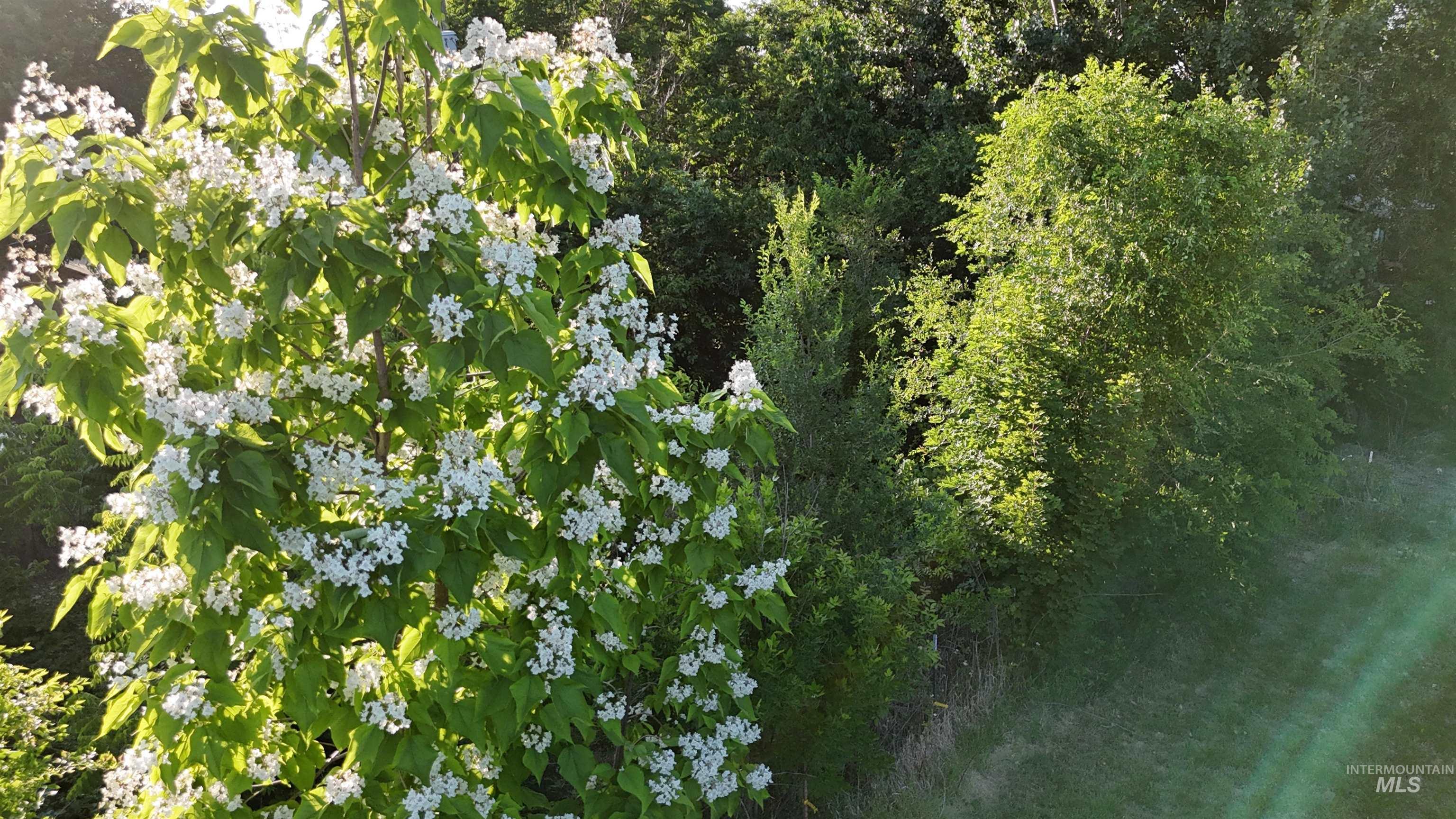 251 Gary Ave Lot B, Notus, Idaho 83656, Land For Sale, Price $189,900, 98949804