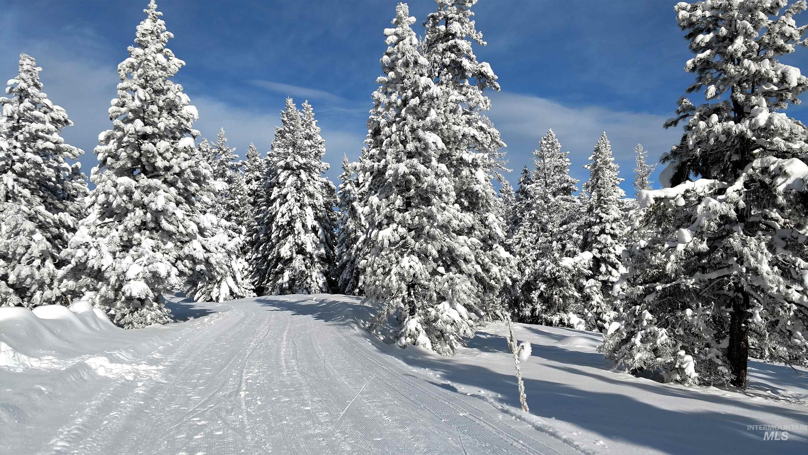 435 Wilhelm, McCall, Idaho 83638, Land For Sale, Price $199,000, 98949887