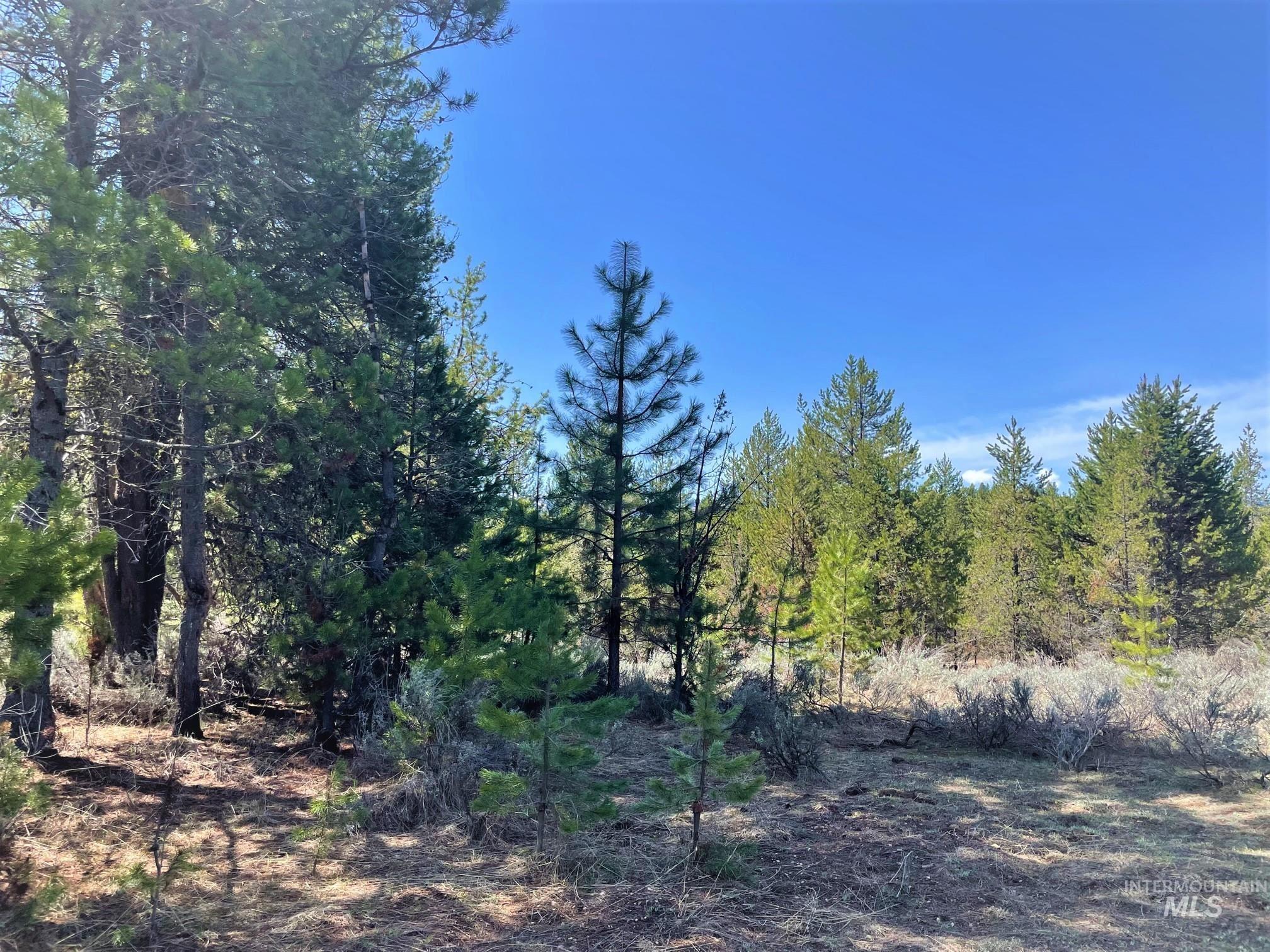 435 Wilhelm, McCall, Idaho 83638, Land For Sale, Price $199,000, 98949887