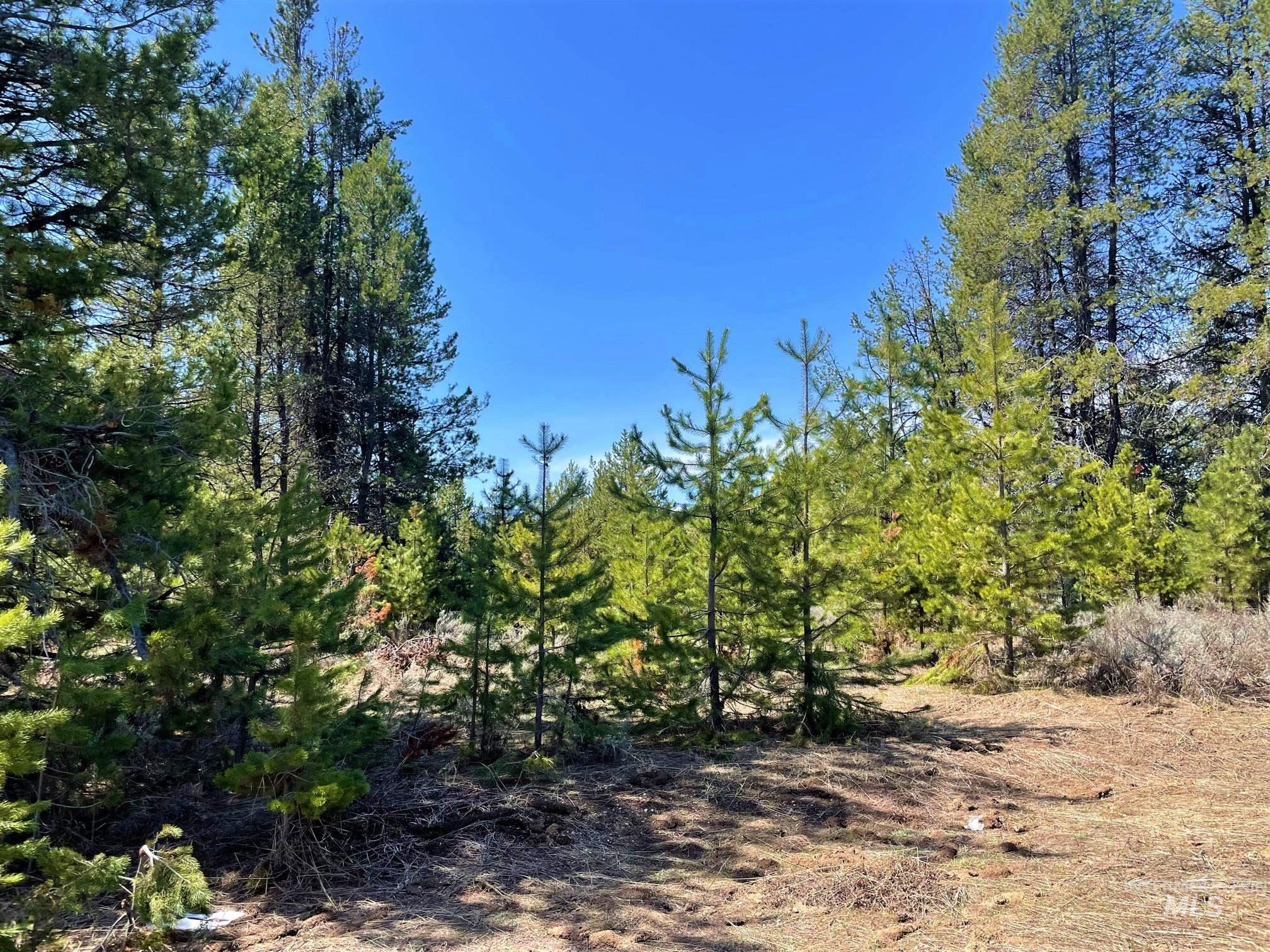 435 Wilhelm, McCall, Idaho 83638, Land For Sale, Price $199,000, 98949887