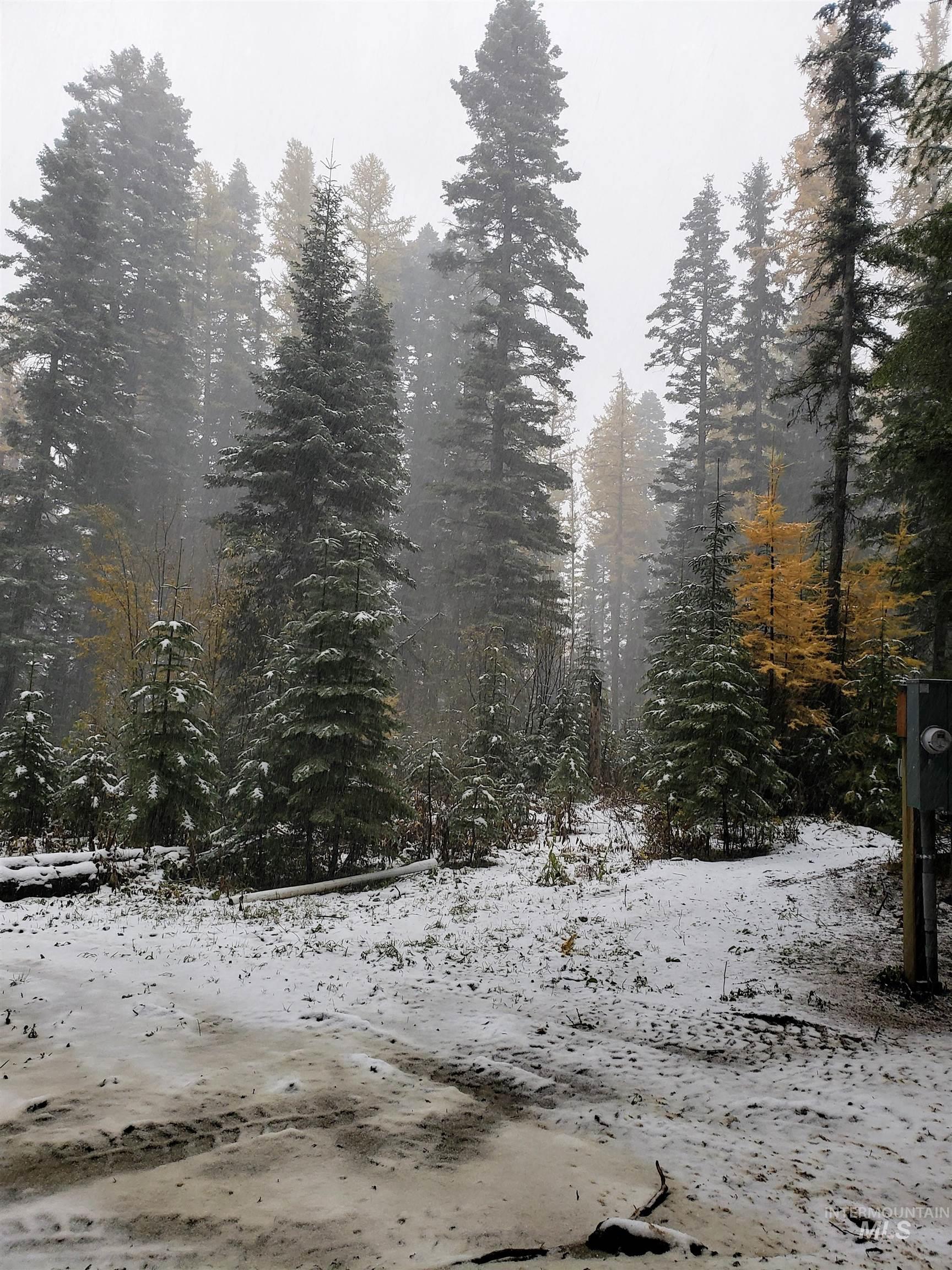 1714 Grouse Trail, Donnelly, Idaho 83615, Land For Sale, Price $285,000, 98949910