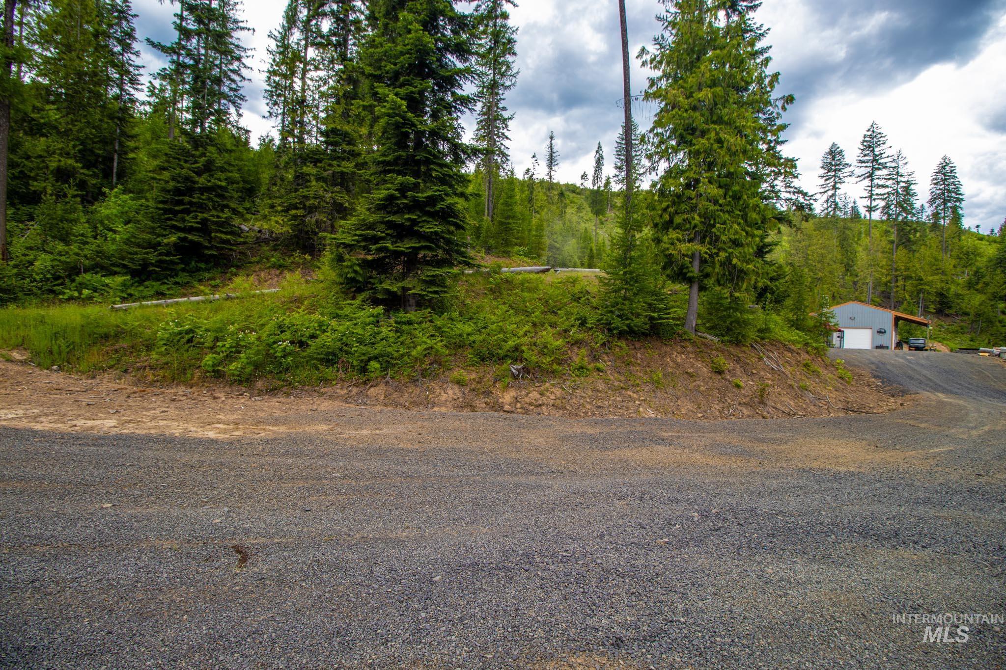 1499 Cold Springs Lane, Orofino, Idaho 83544, 2 Bedrooms, 1 Bathroom, Residential For Sale, Price $630,000, 98949916