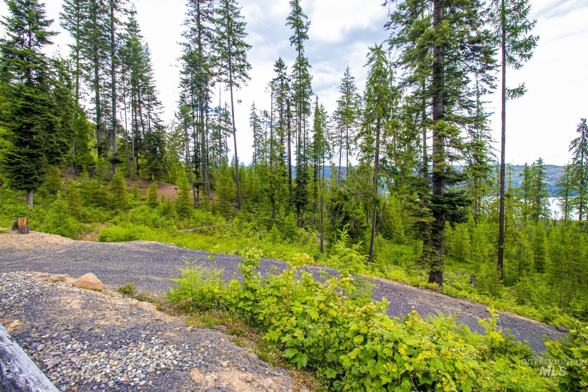 1499 Cold Springs Lane, Orofino, Idaho 83544, 2 Bedrooms, 1 Bathroom, Residential For Sale, Price $630,000, 98949916