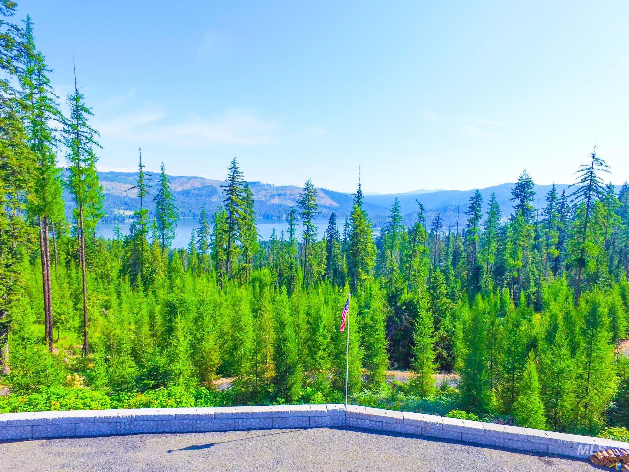 View of mountain backdrop featuring a heavily wooded area