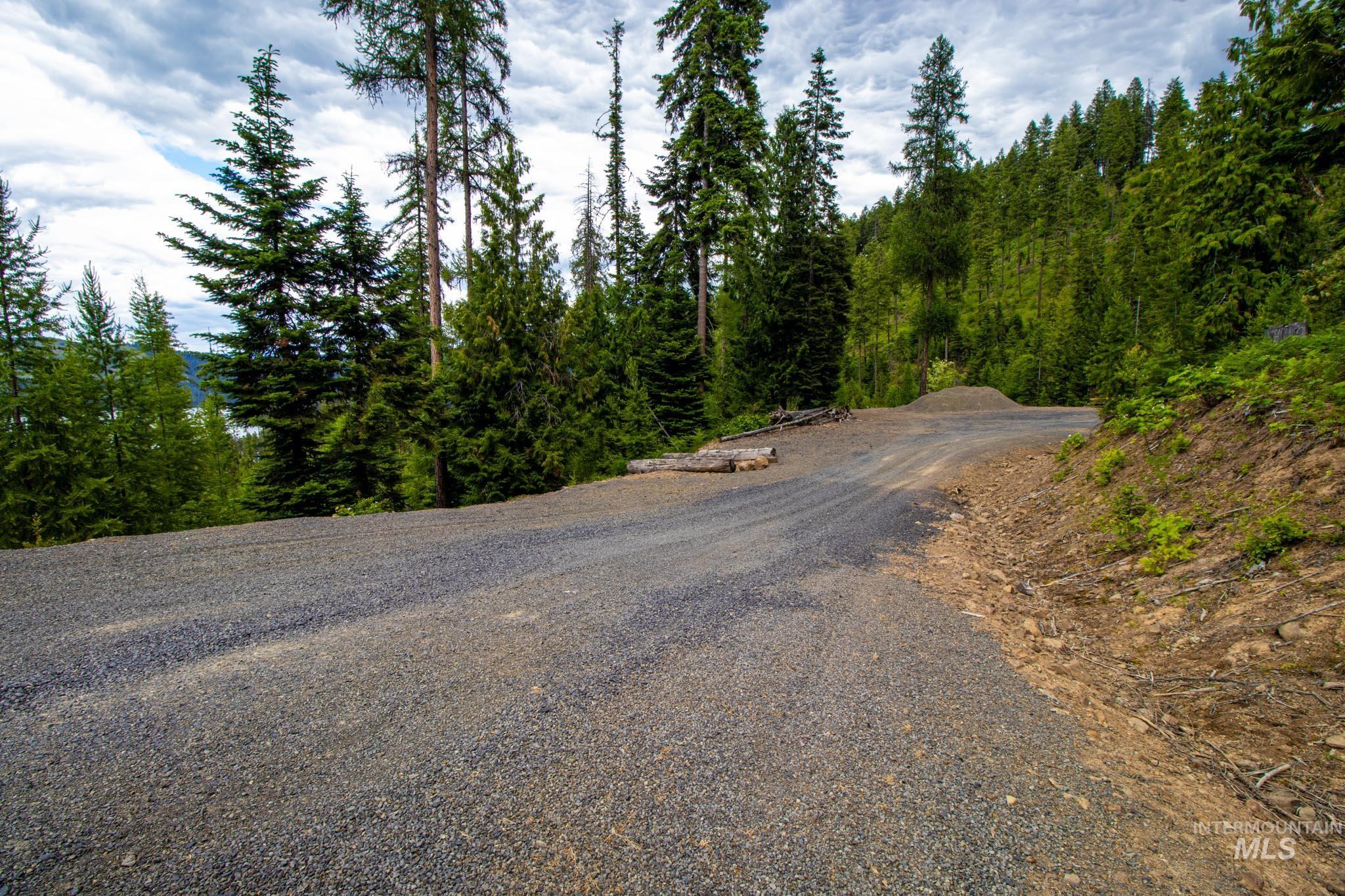 1499 Cold Springs Lane, Orofino, Idaho 83544, 2 Bedrooms, 1 Bathroom, Residential For Sale, Price $630,000, 98949916