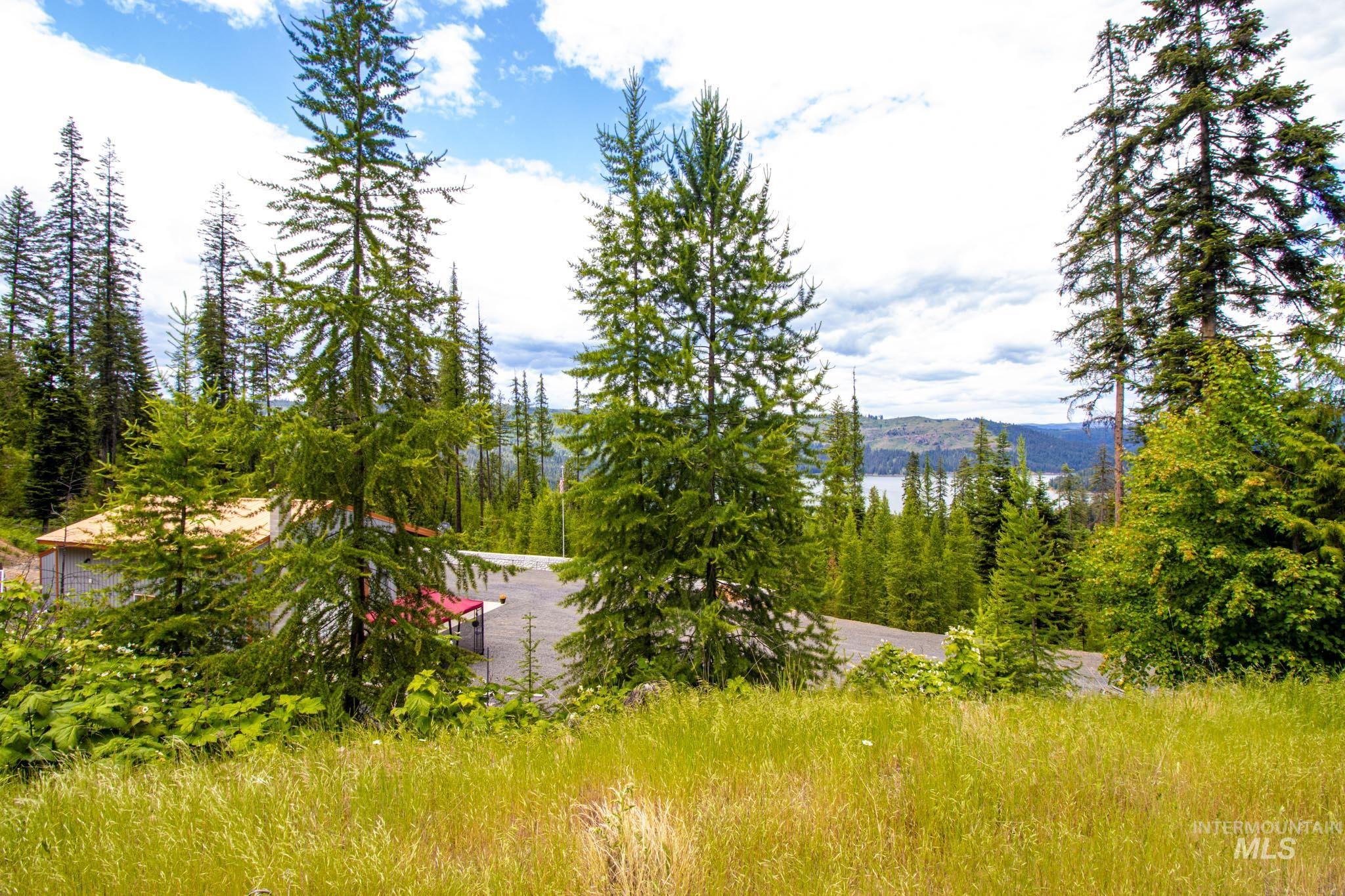 1499 Cold Springs Lane, Orofino, Idaho 83544, 2 Bedrooms, 1 Bathroom, Residential For Sale, Price $630,000, 98949916