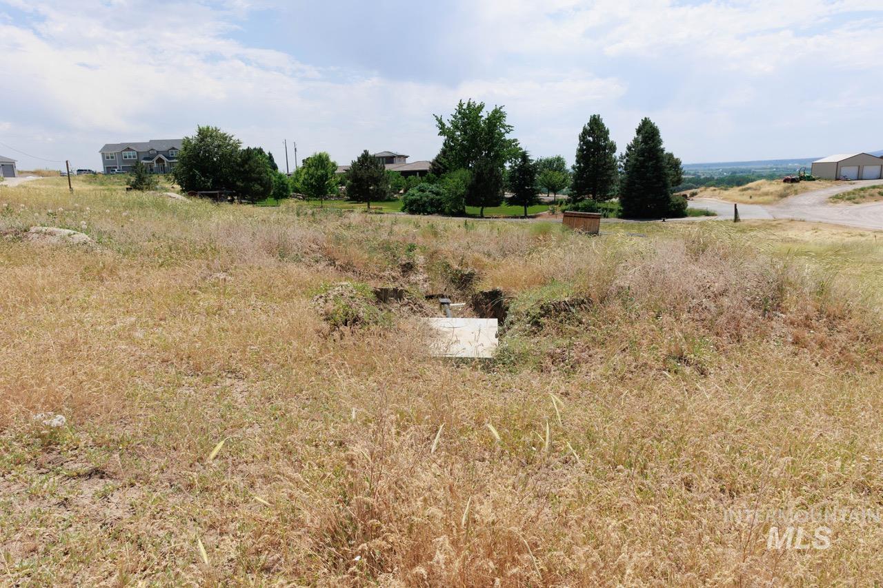 View of undeveloped land