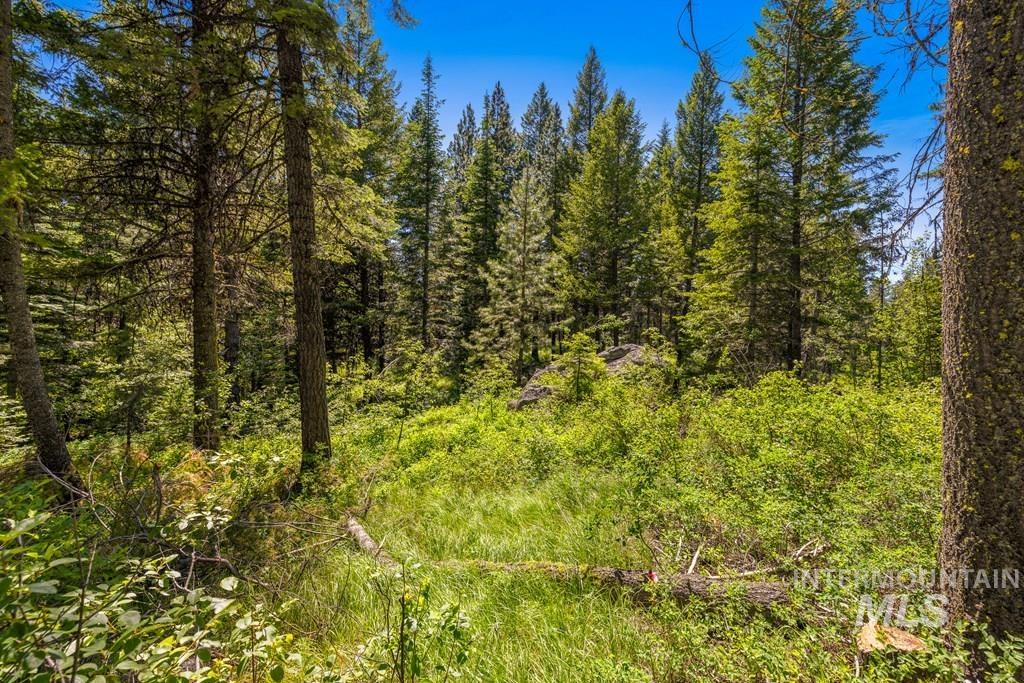 10 Collins Court, McCall, Idaho 83638, Land For Sale, Price $199,000, 98949920