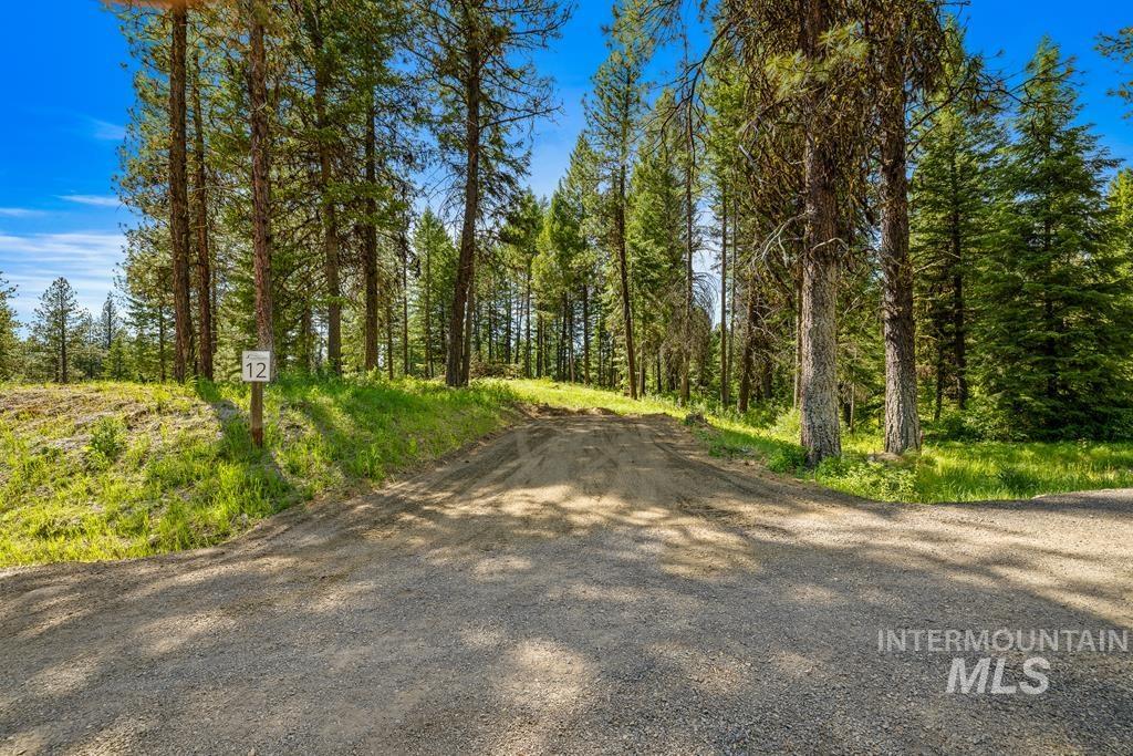 6 York Street, McCall, Idaho 83638, Land For Sale, Price $339,150, 98949922