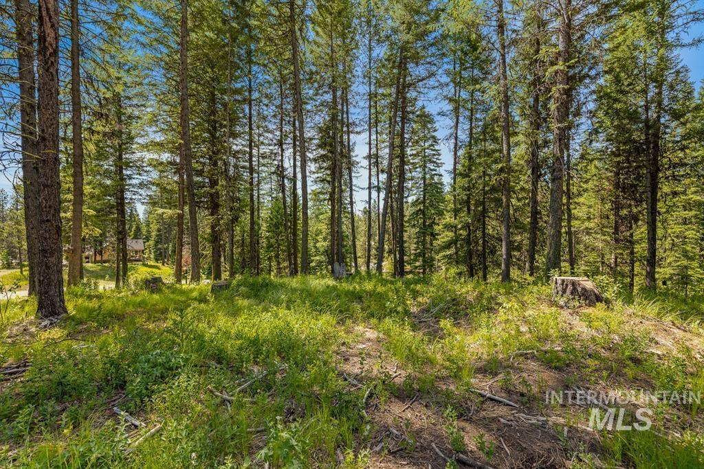 6 York Street, McCall, Idaho 83638, Land For Sale, Price $339,150, 98949922