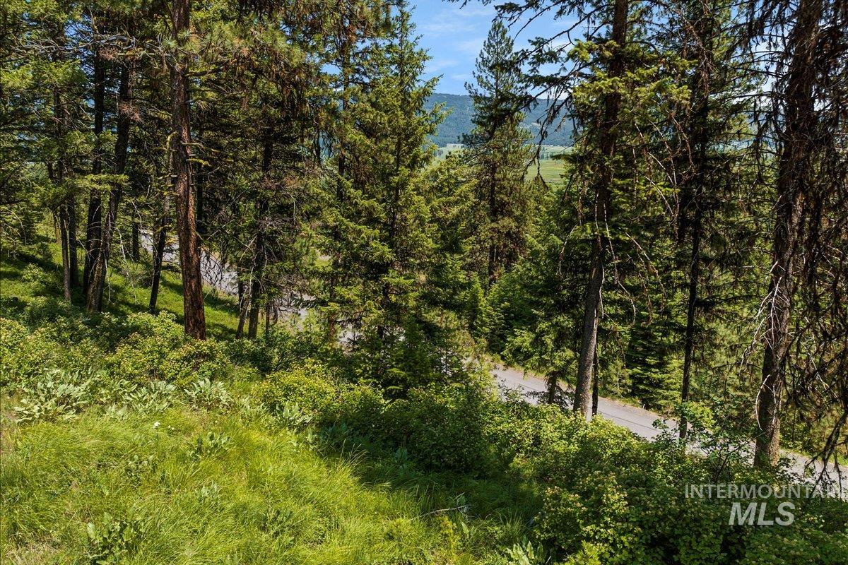L5 B29 Sorrel Dr, New Meadows, Idaho 83654, Land For Sale, Price $104,900, 98949937