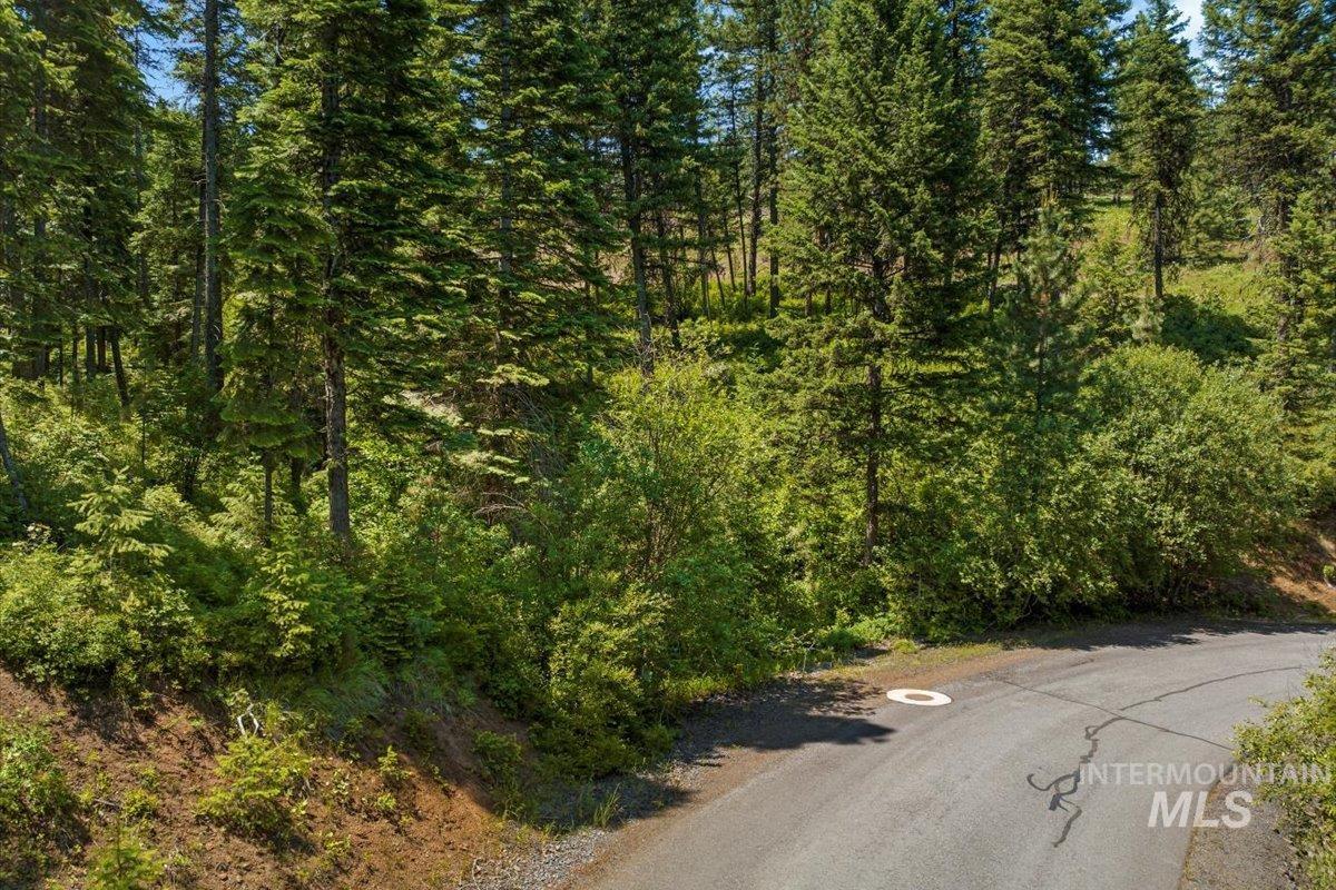 L5 B29 Sorrel Dr, New Meadows, Idaho 83654, Land For Sale, Price $104,900, 98949937