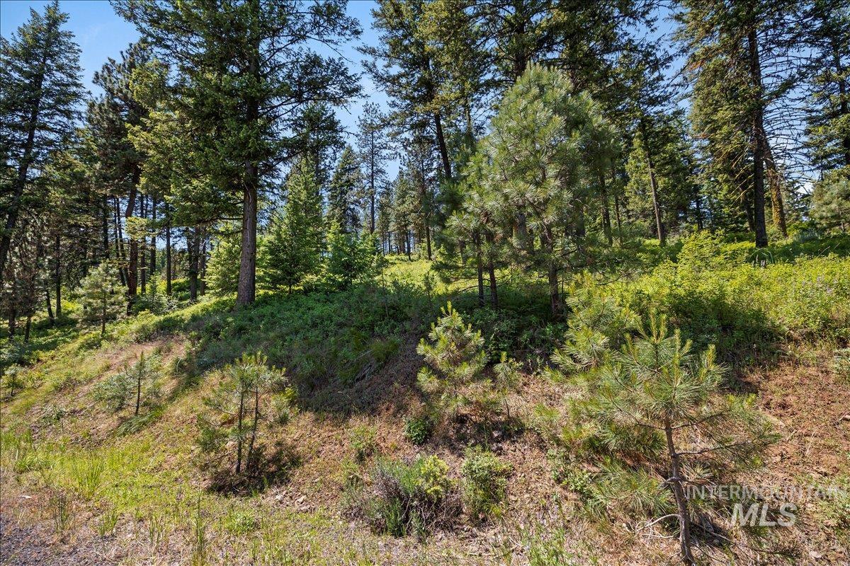 L5 B29 Sorrel Dr, New Meadows, Idaho 83654, Land For Sale, Price $104,900, 98949937
