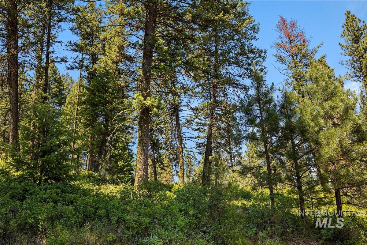 L5 B29 Sorrel Dr, New Meadows, Idaho 83654, Land For Sale, Price $104,900, 98949937