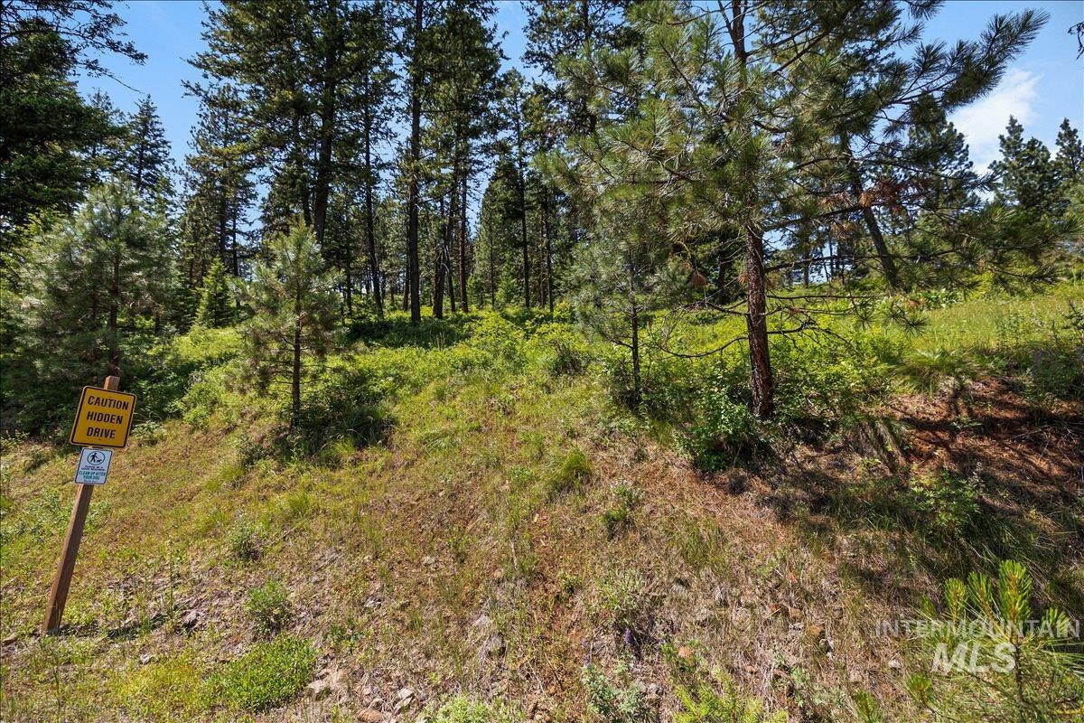 L5 B29 Sorrel Dr, New Meadows, Idaho 83654, Land For Sale, Price $104,900, 98949937